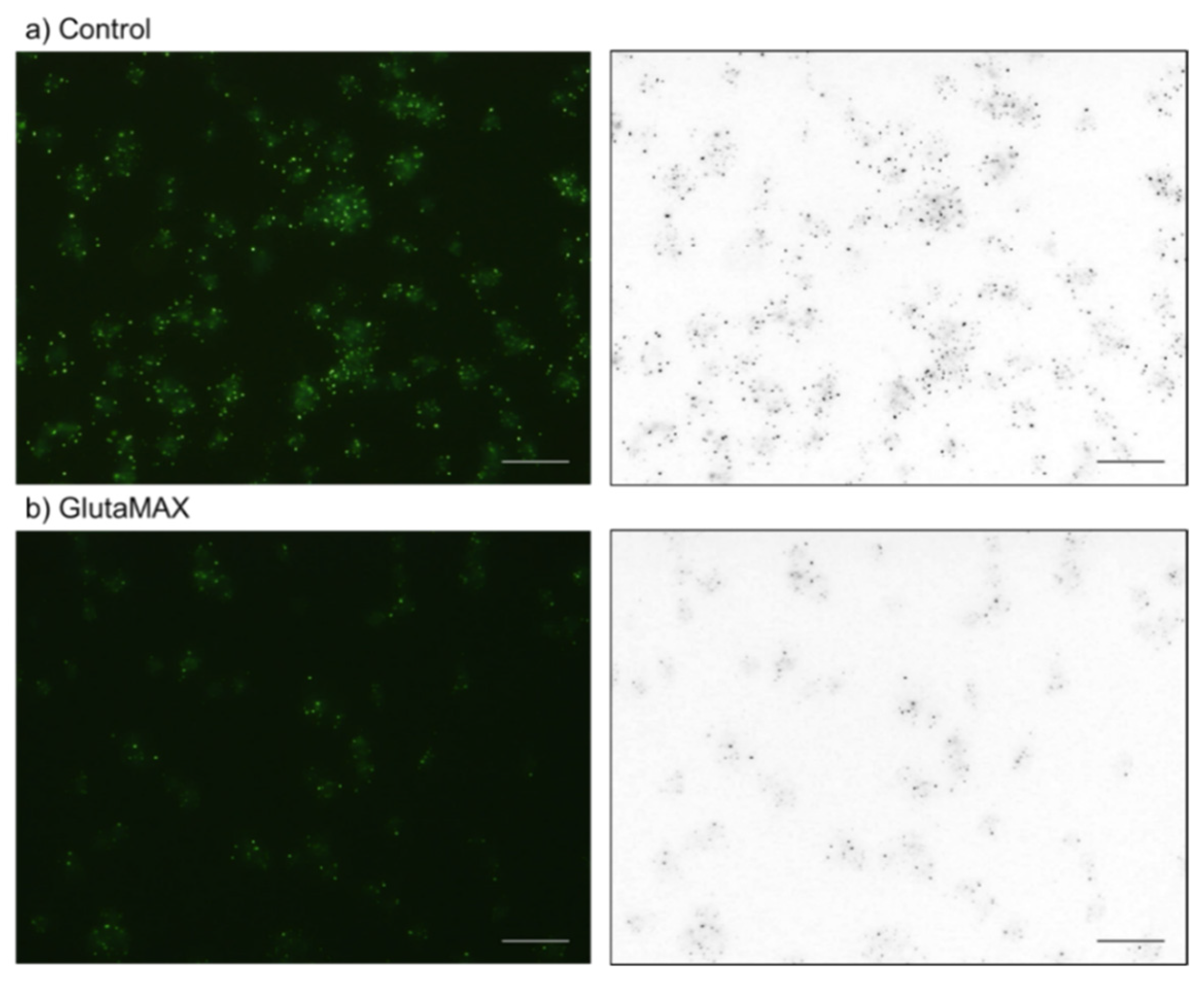 Ijms 23 11293 g011 550