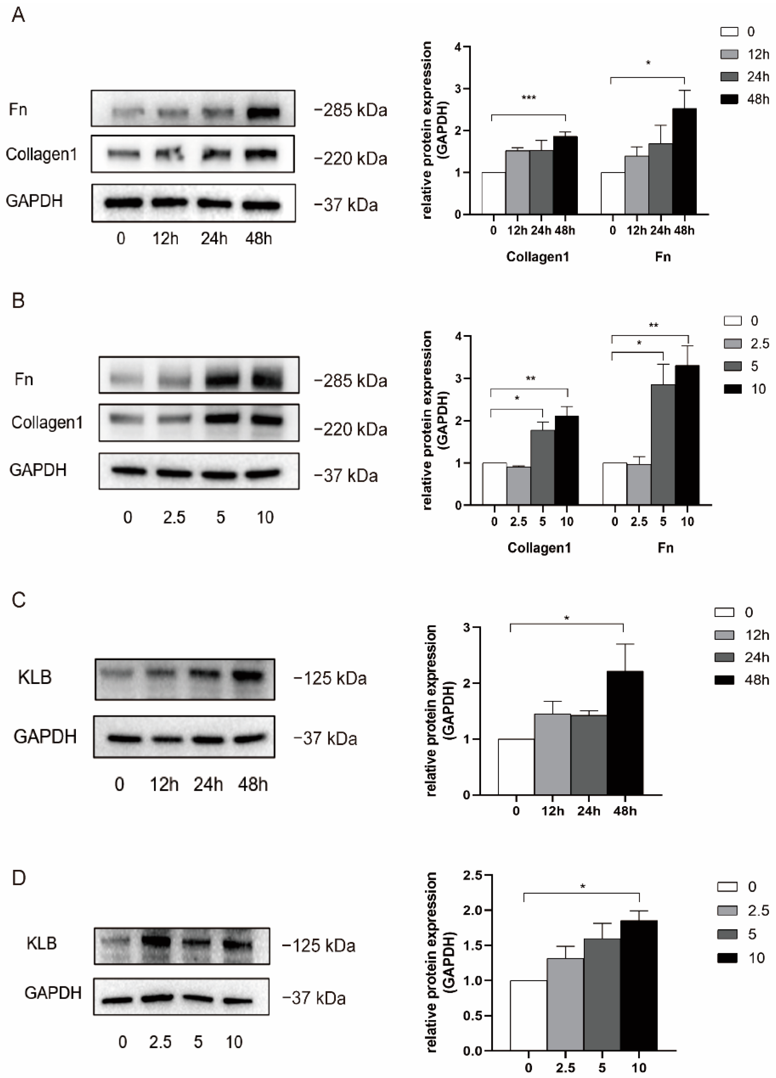 Ijms 23 11294 g003 Ijms 23 11294 g003