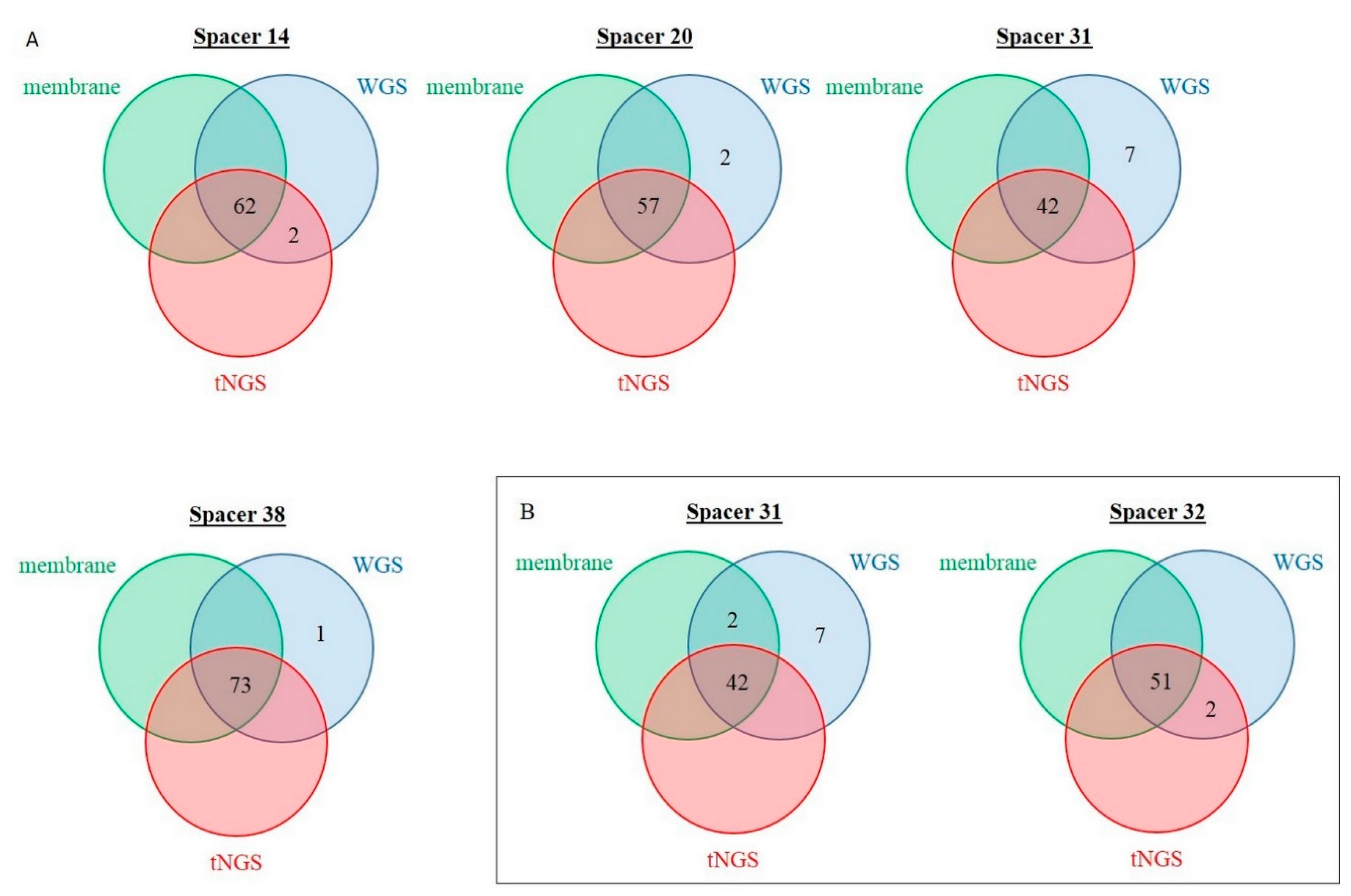 Ijms 23 11302 g005 Ijms 23 11302 g005