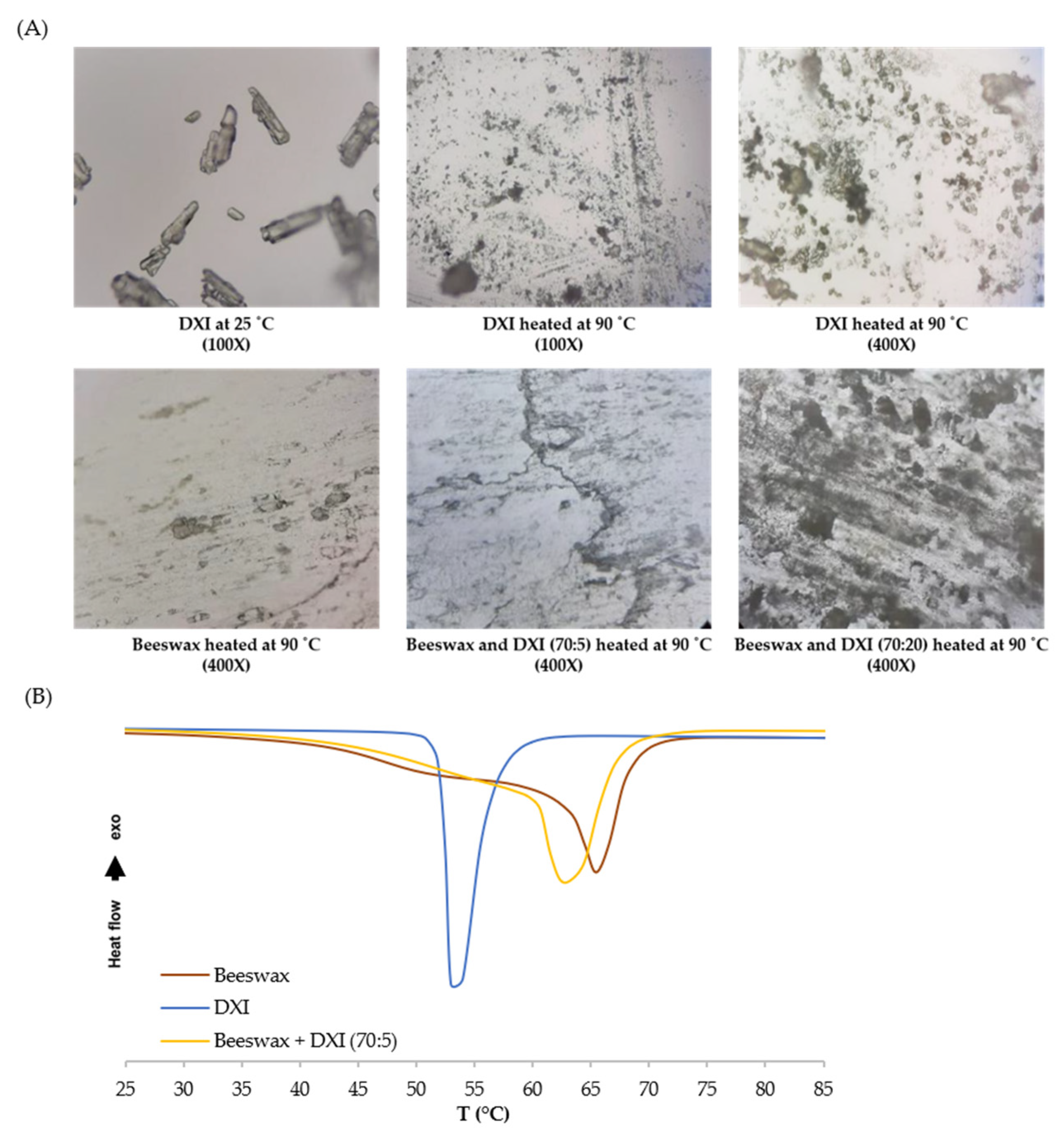 Ijms 23 11310 g001 550