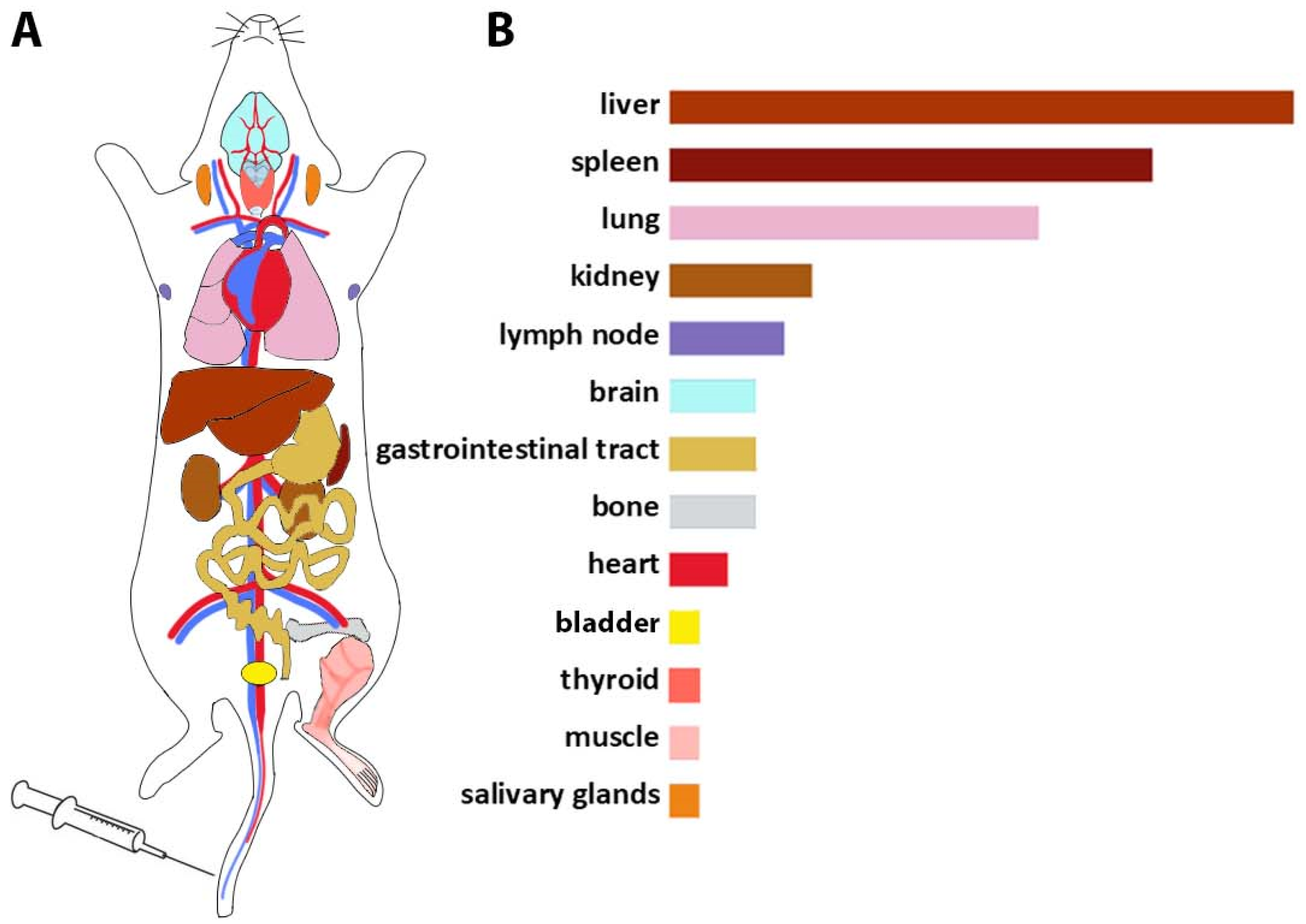 Ijms 23 11312 g001 Ijms 23 11312 g001