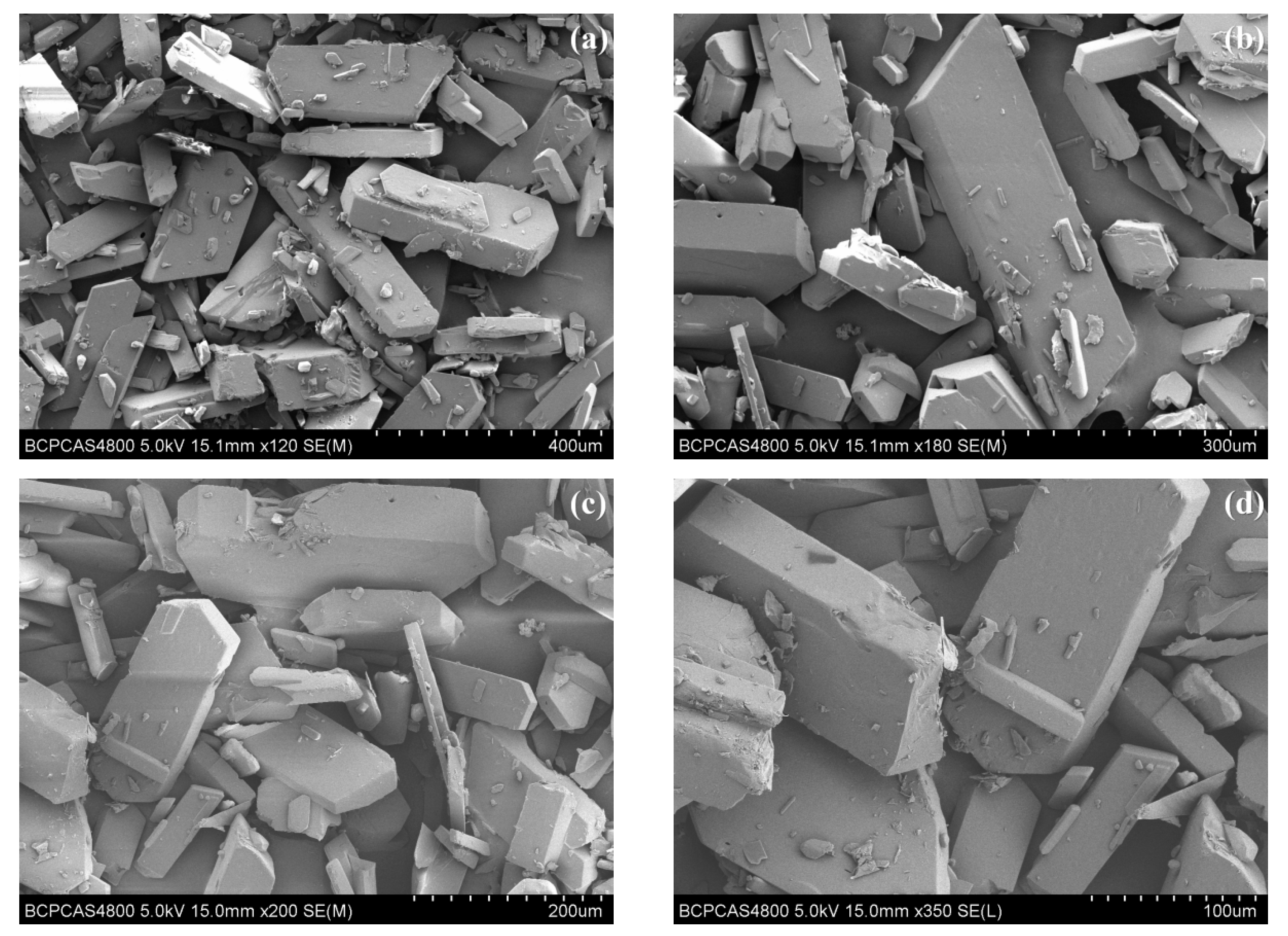 Ijms 23 11313 g002 550