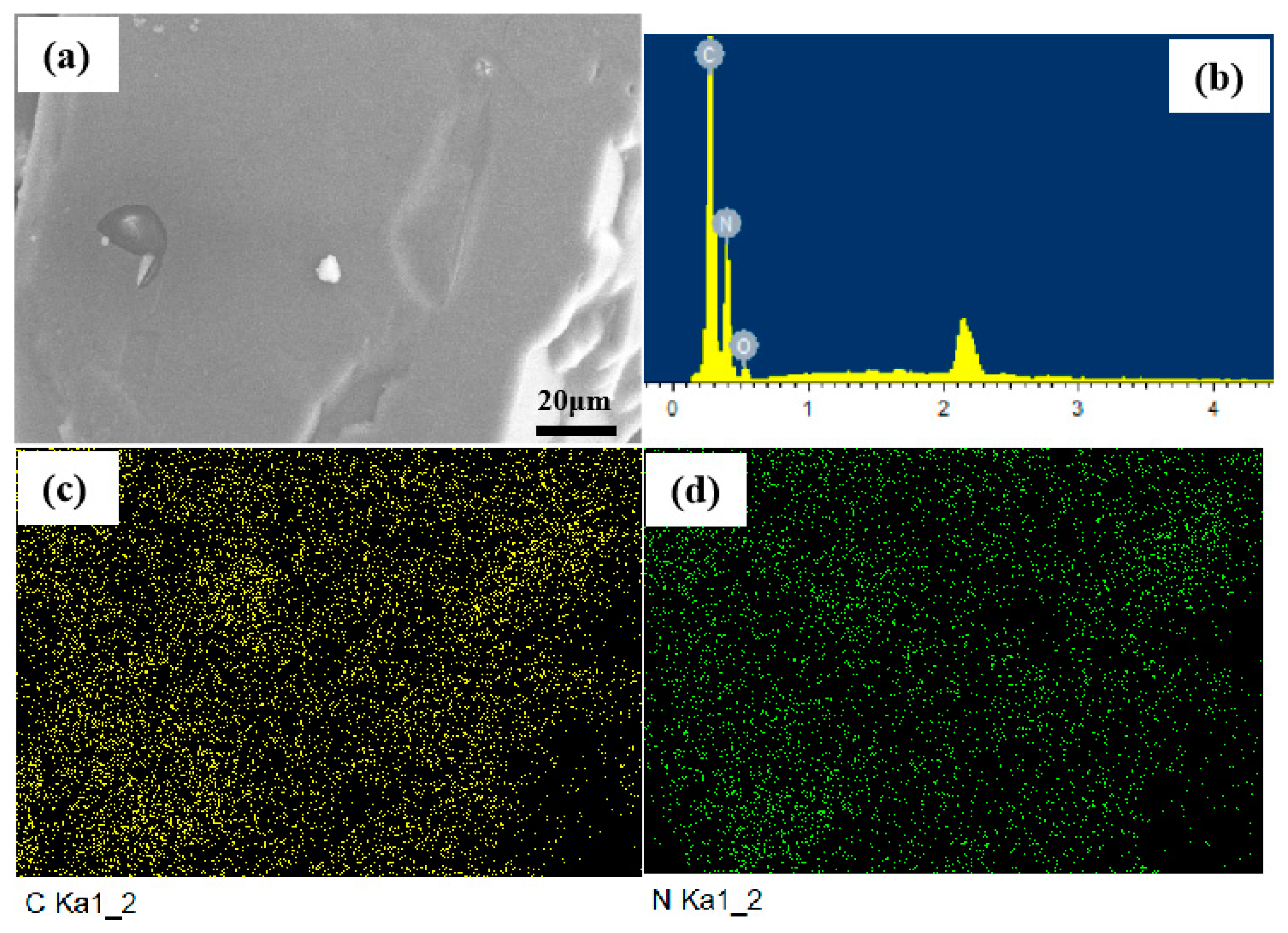 Ijms 23 11313 g003 550