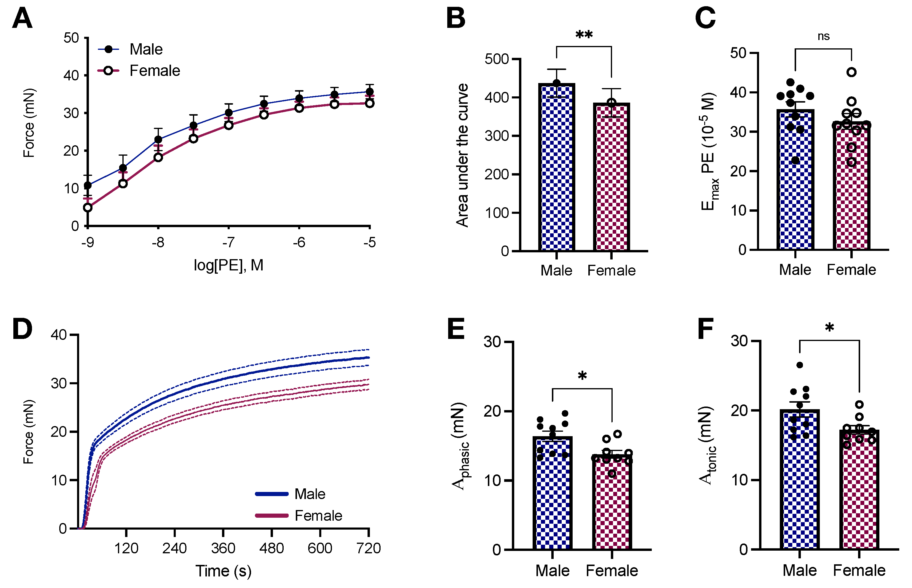 Ijms 23 11314 g003 Ijms 23 11314 g003
