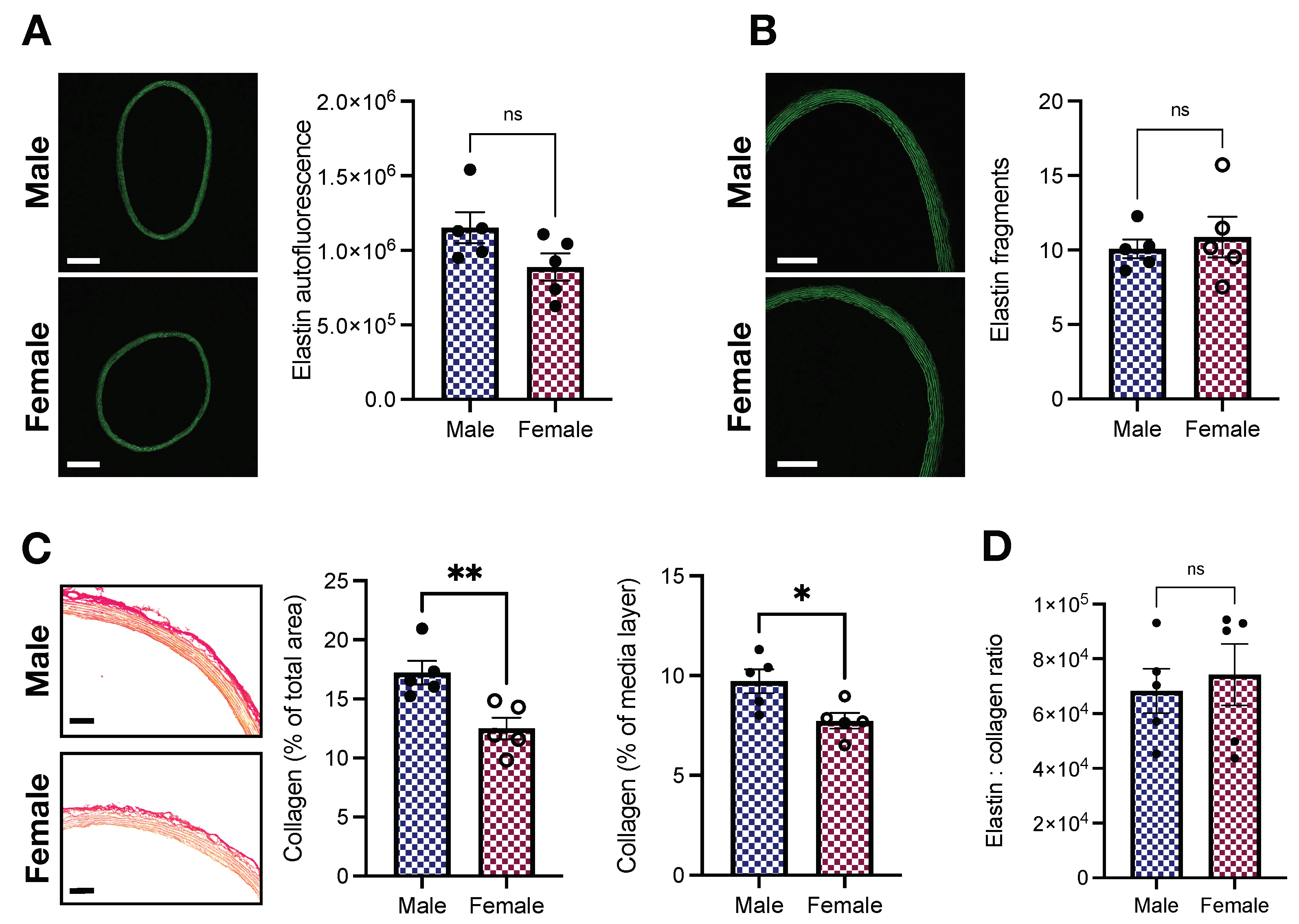 Ijms 23 11314 g005 Ijms 23 11314 g005