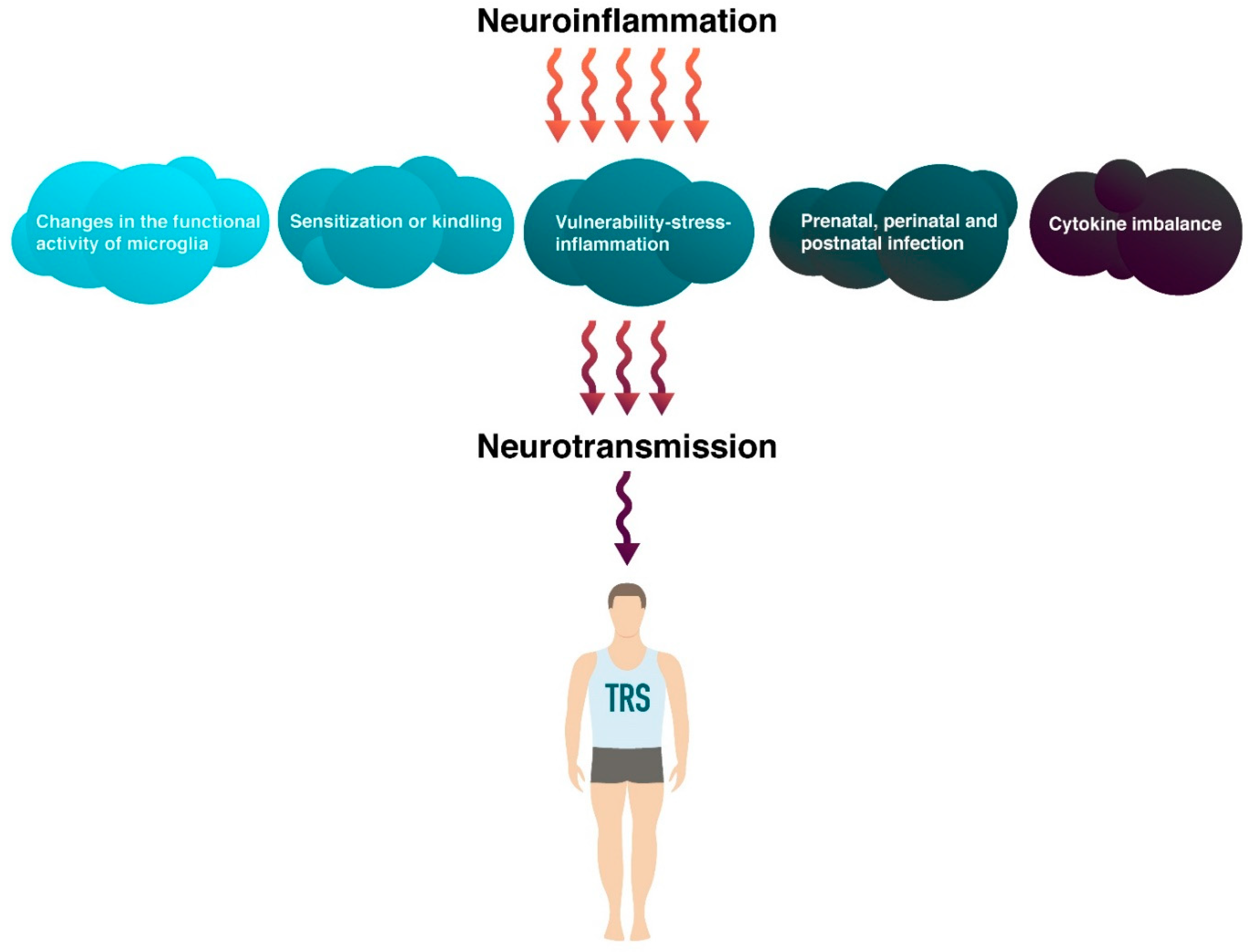 Ijms 23 11324 g003 Ijms 23 11324 g003