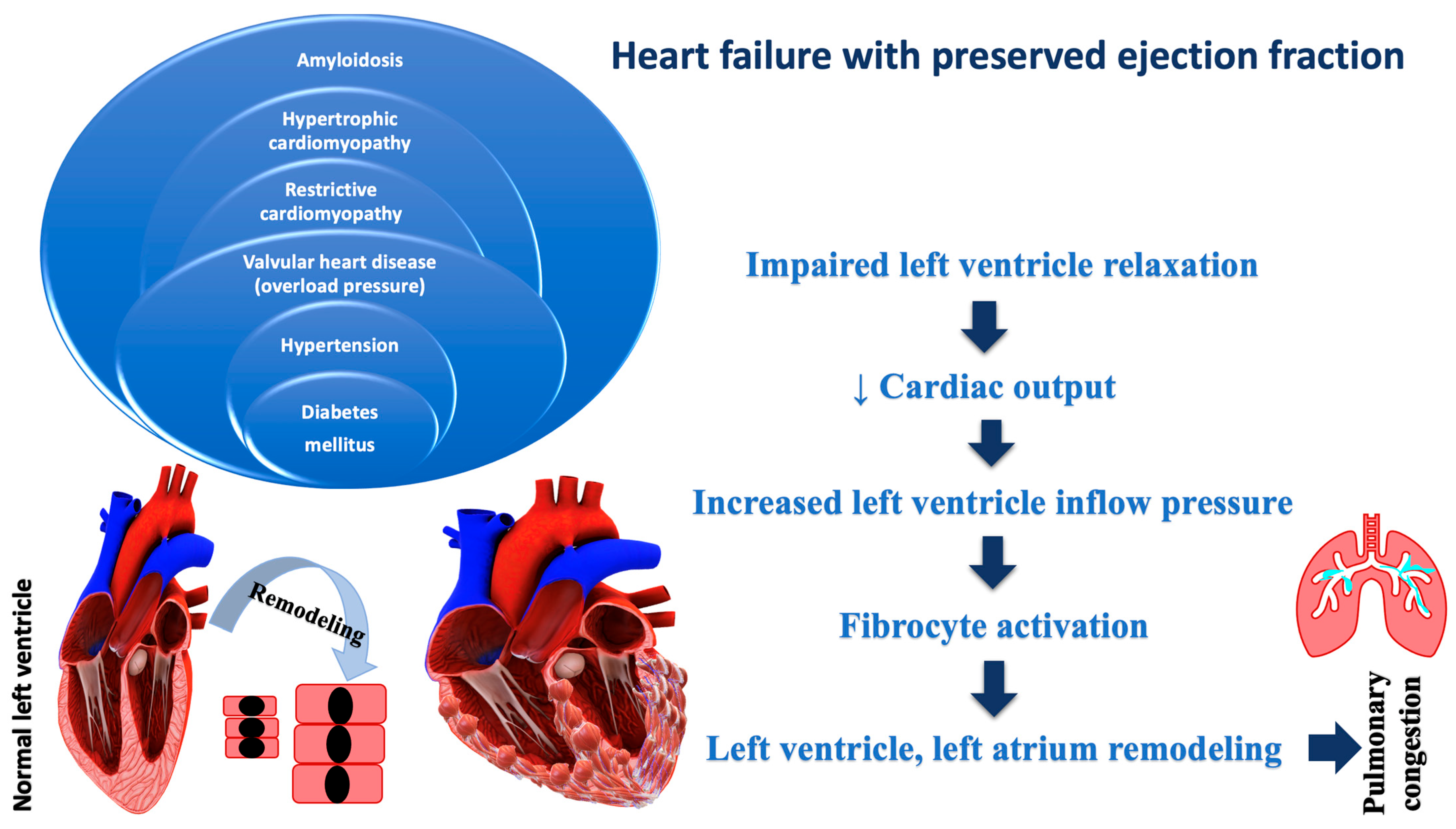 Ijms 23 11336 g002 Ijms 23 11336 g002