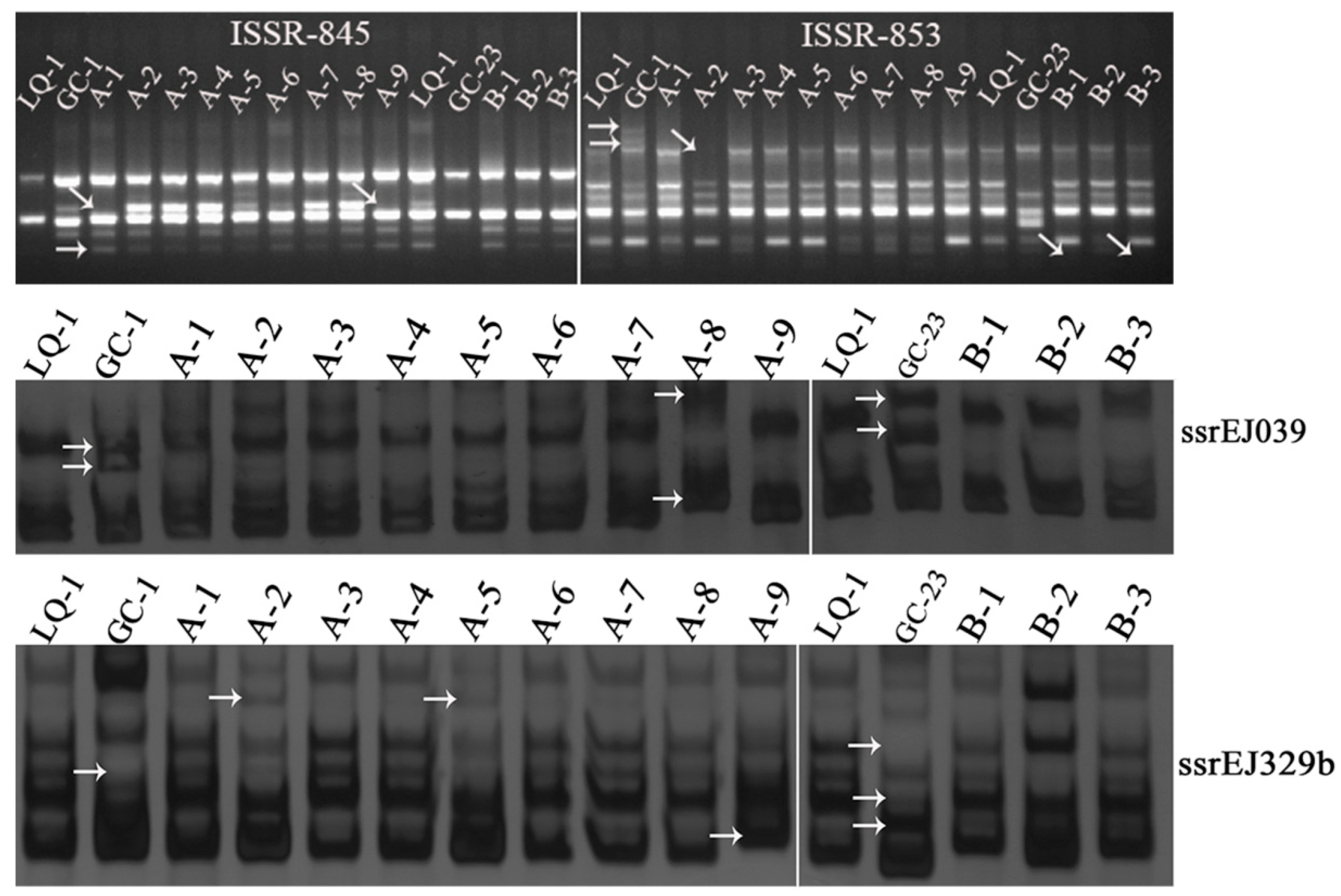 Ijms 23 11337 g001 Ijms 23 11337 g001