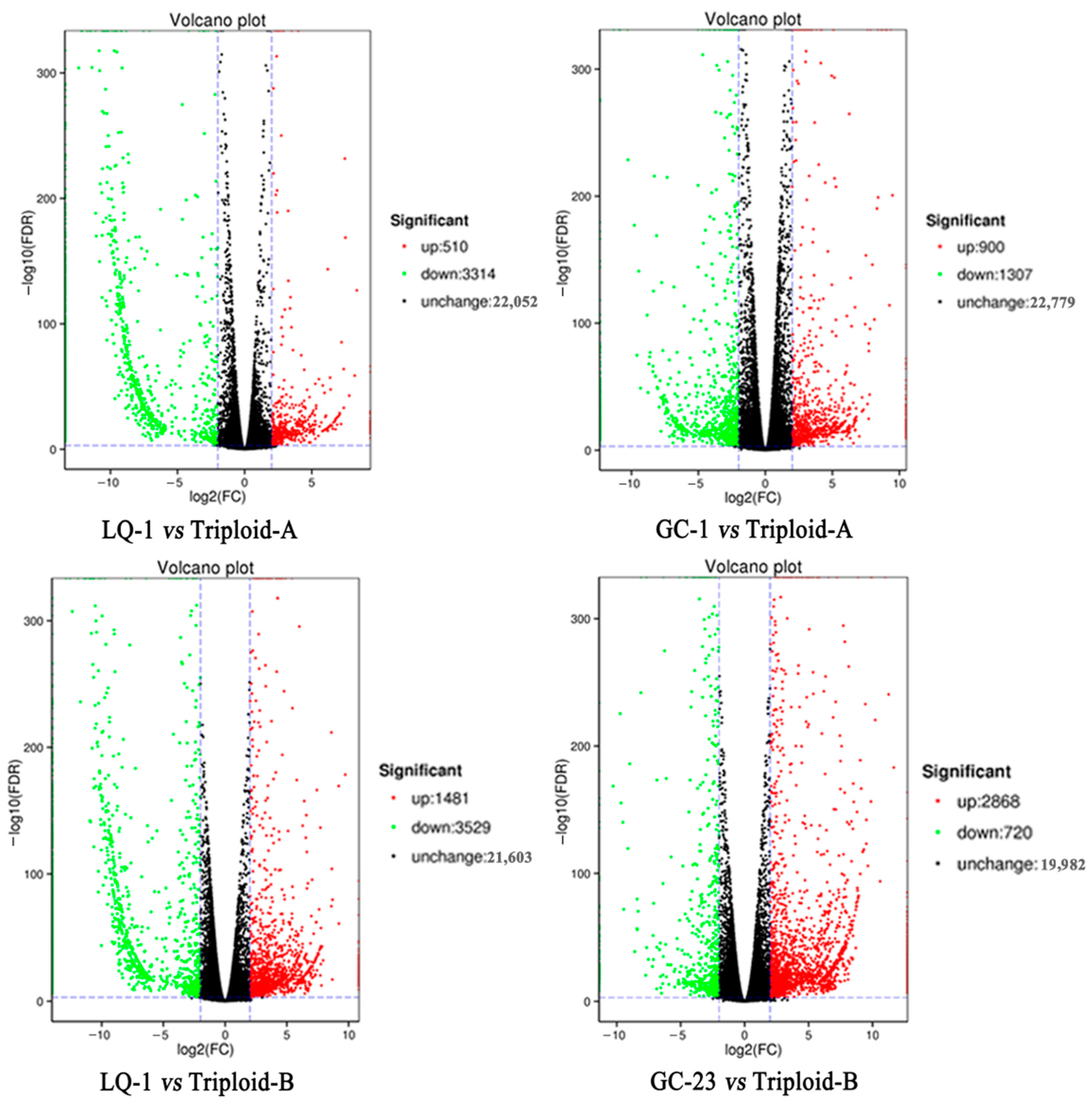 IJMS | Free Full-Text | Photosynthetic Efficiency and Glyco 