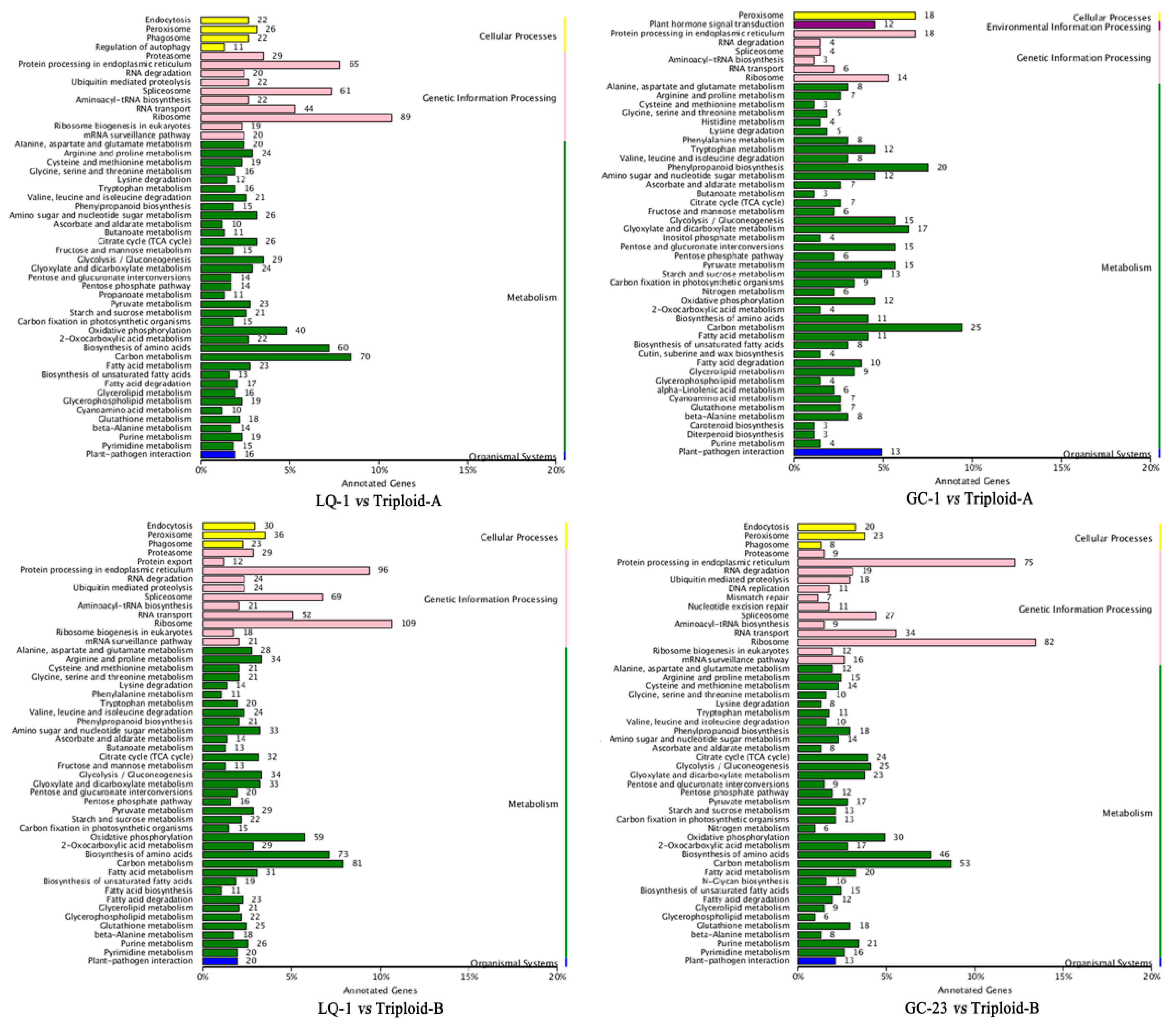 Ijms 23 11337 g006 Ijms 23 11337 g006