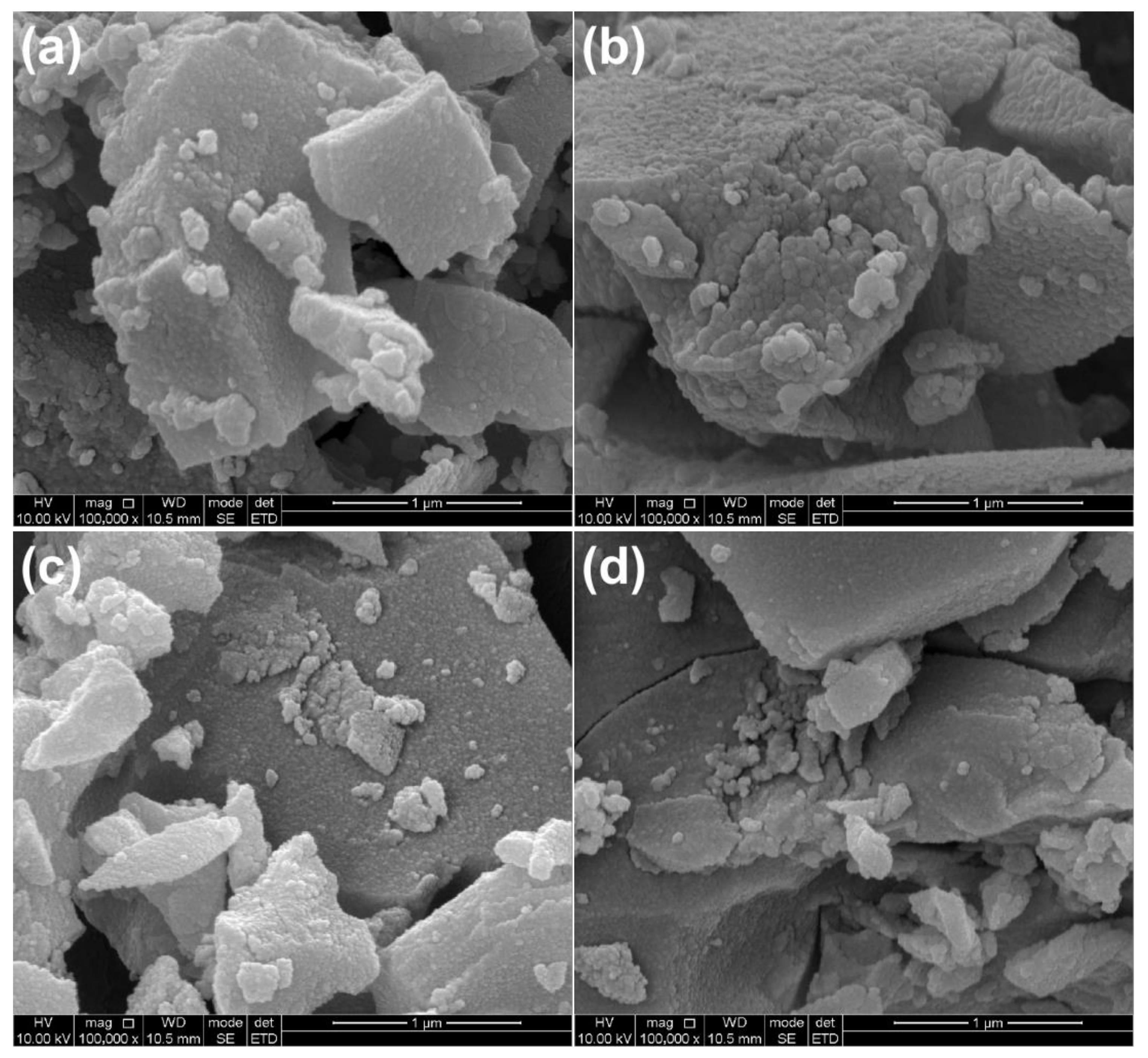 Ijms 23 11339 g002 550