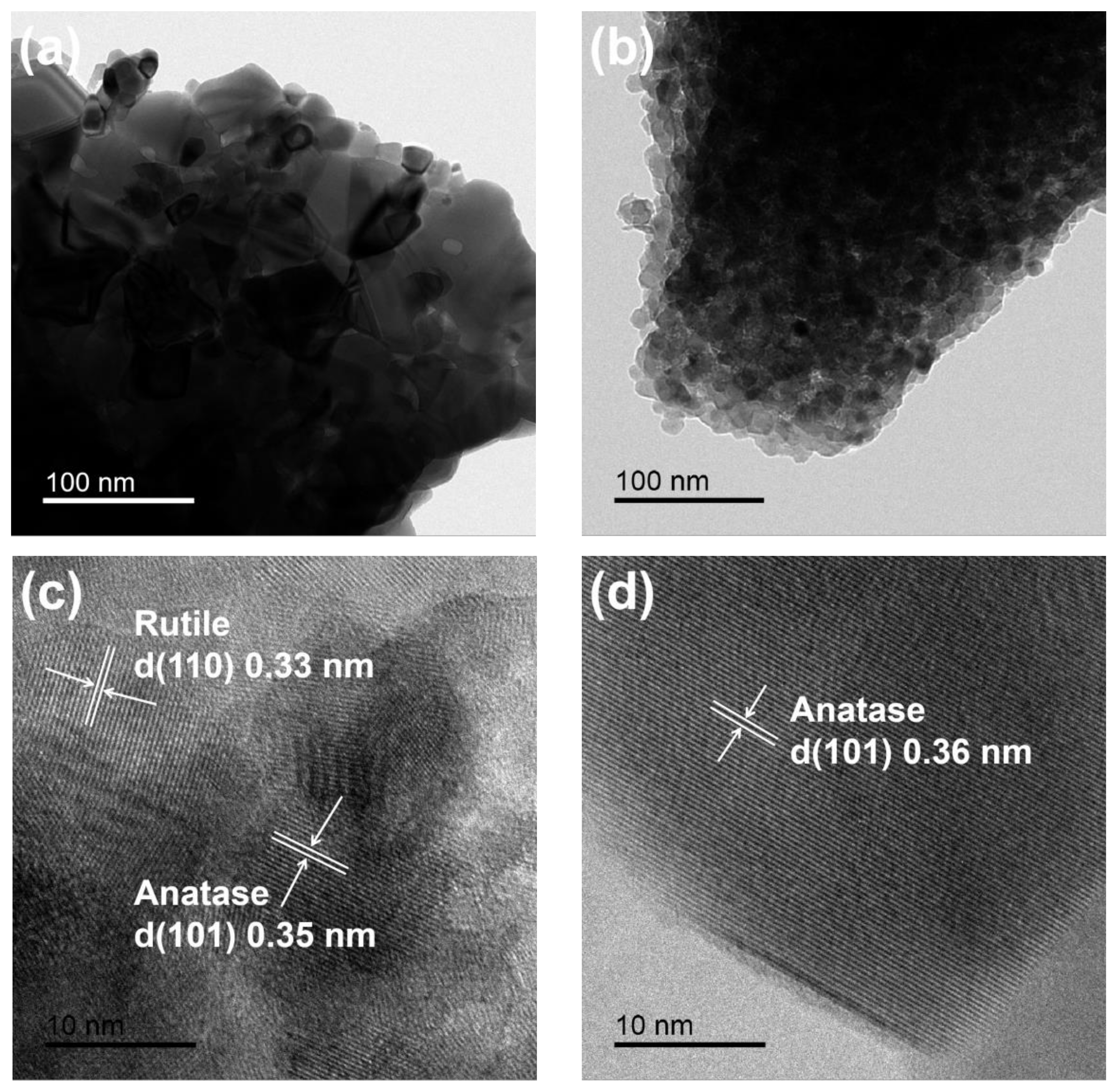 Ijms 23 11339 g003a 550