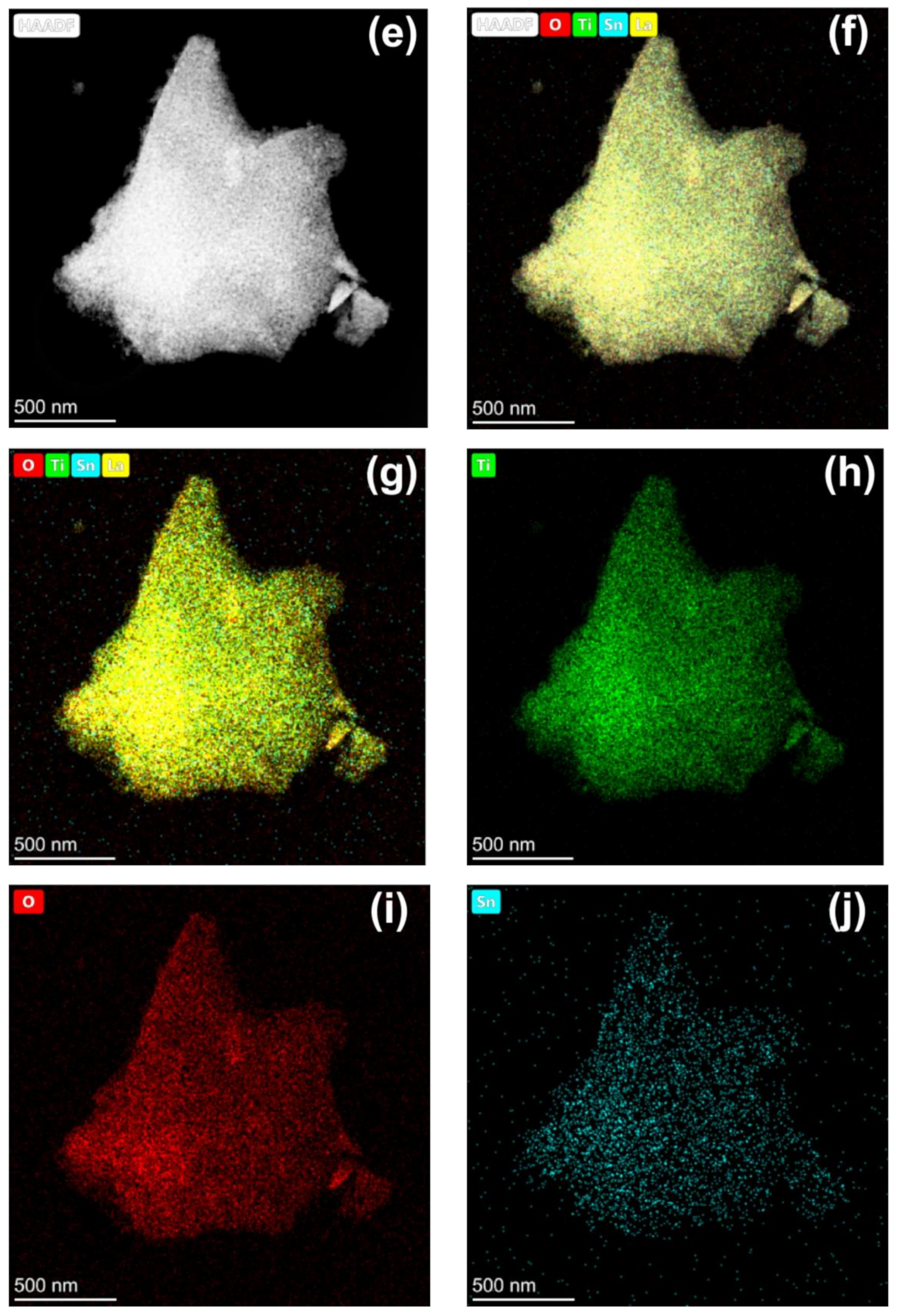 Ijms 23 11339 g003b 550