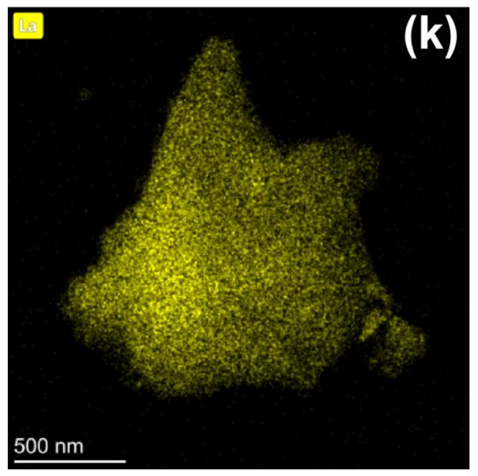 Ijms 23 11339 g003c 550