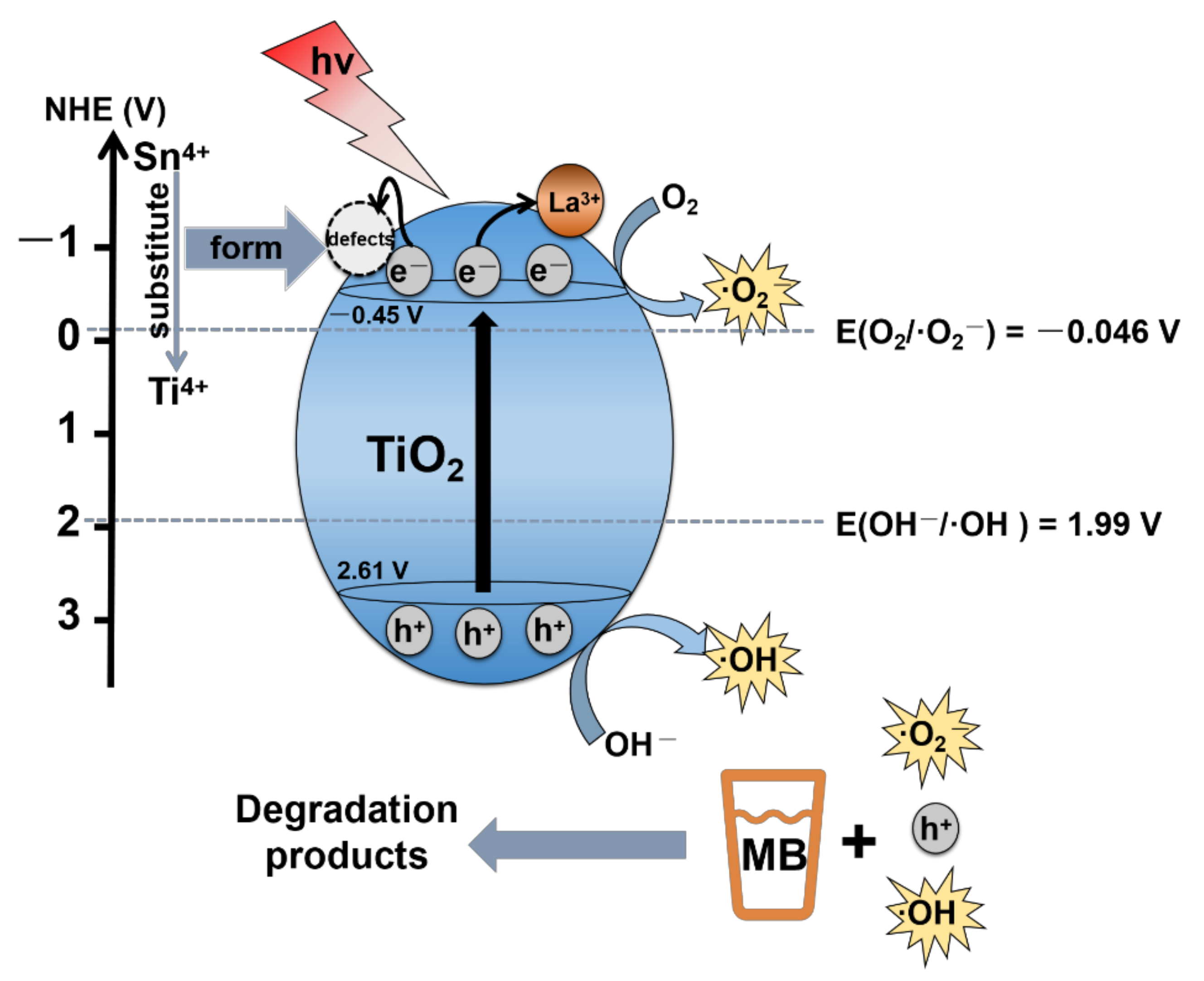 Ijms 23 11339 g013 550
