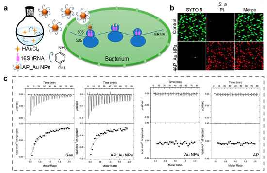 Metal and Metal Oxide Nanomaterials for Fighting Planktonic