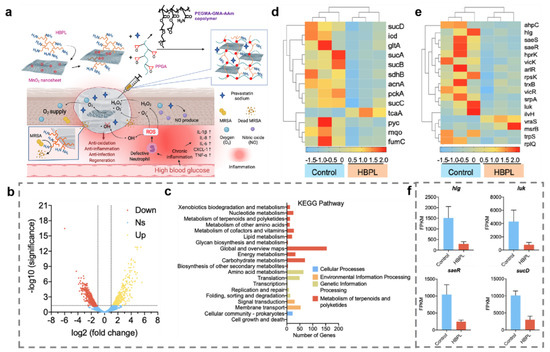 Metal and Metal Oxide Nanomaterials for Fighting Planktonic