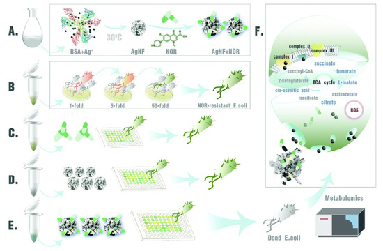 Metal and Metal Oxide Nanomaterials for Fighting Planktonic