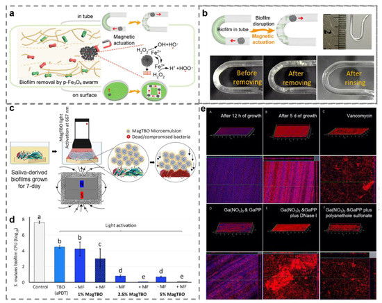 IJMS | Free Full-Text | Metal and Metal Oxide Nanomaterials for 