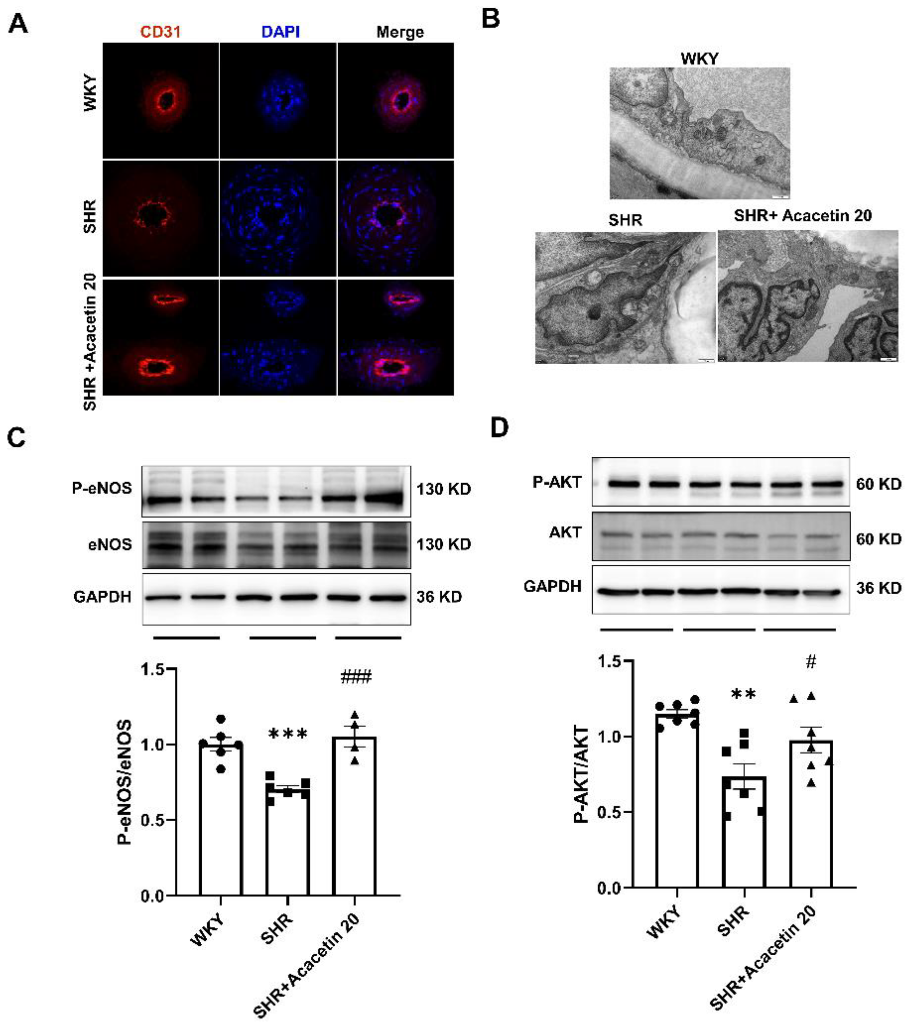 Ijms 23 11350 g004 550