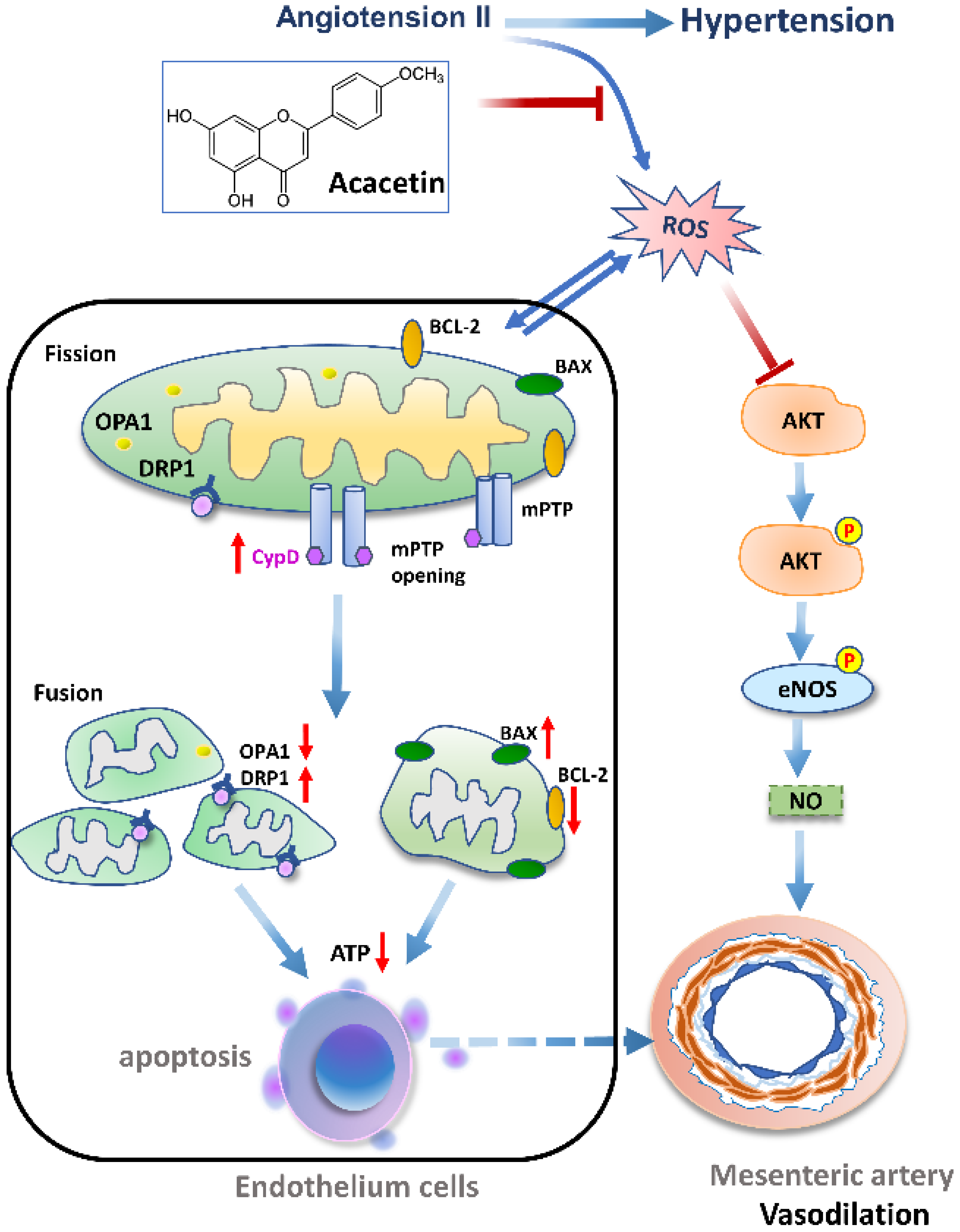 Ijms 23 11350 g007 550