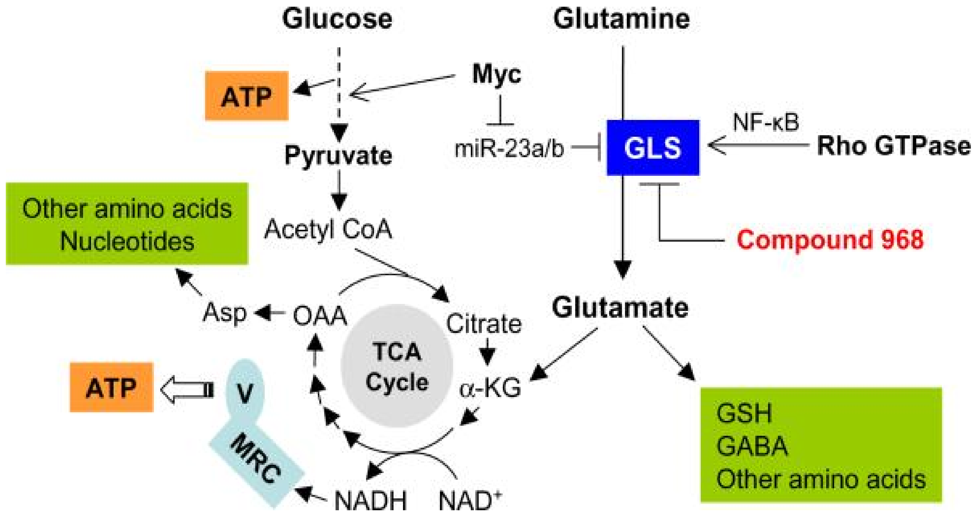 Ijms 23 11352 g002 Ijms 23 11352 g002