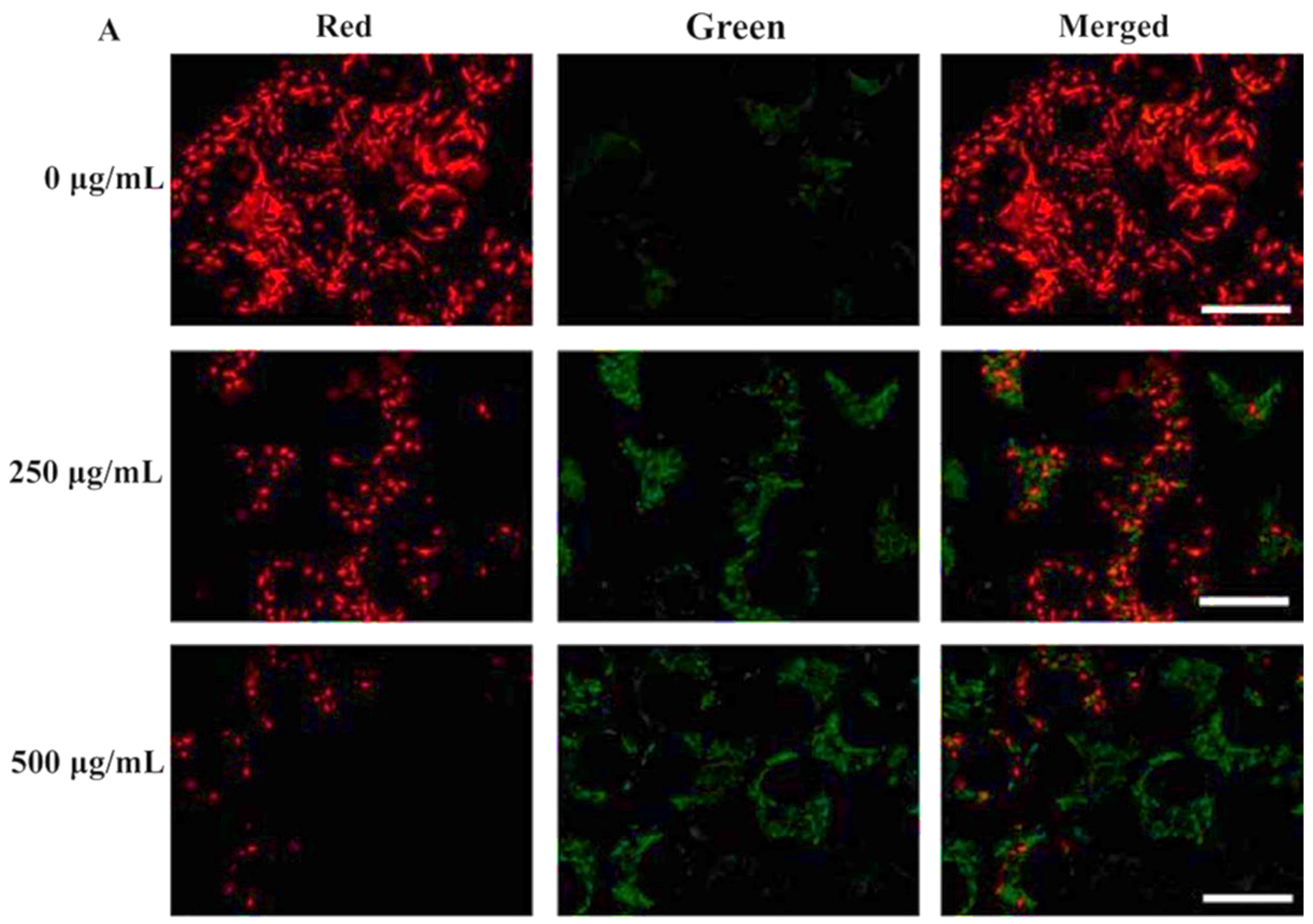 Ijms 23 11352 g005 Ijms 23 11352 g005