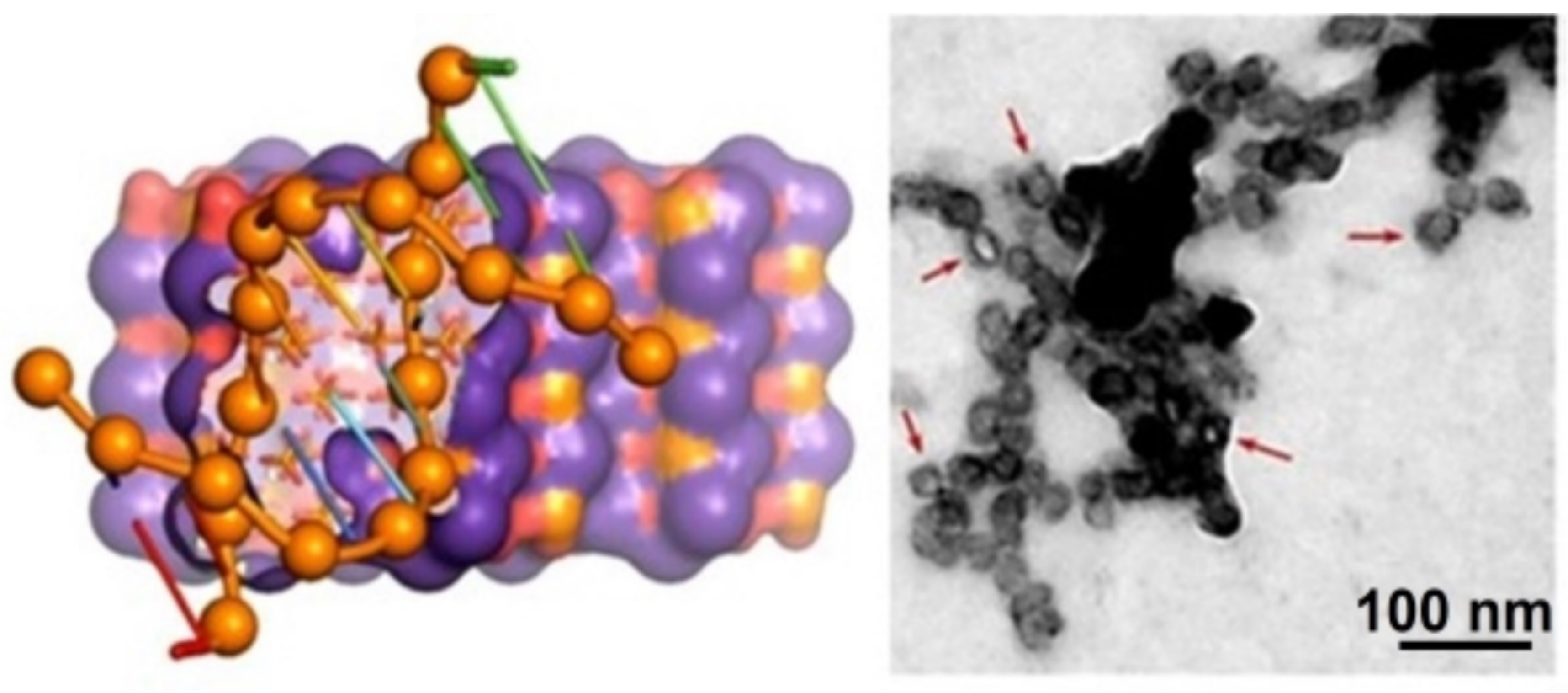 Ijms 23 11352 g007 Ijms 23 11352 g007