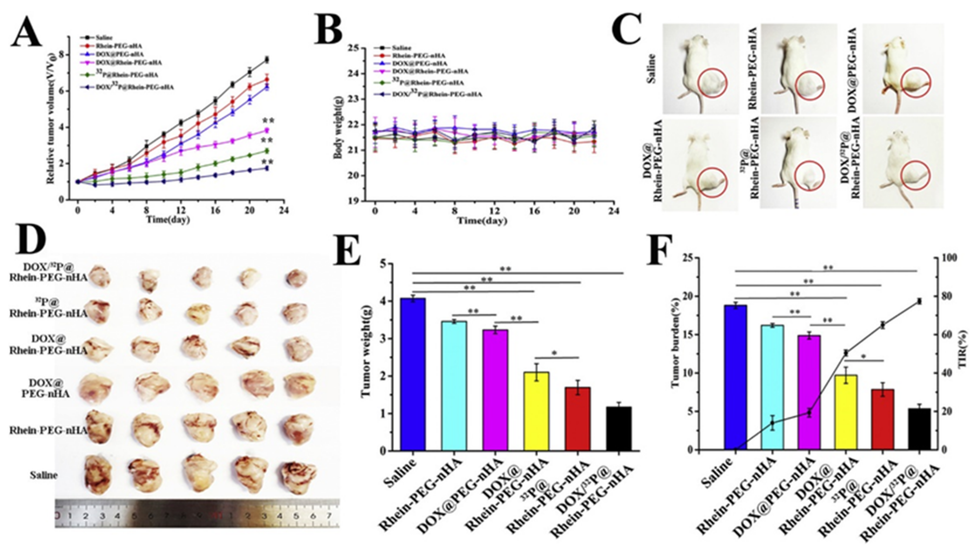 Ijms 23 11352 g011 Ijms 23 11352 g011