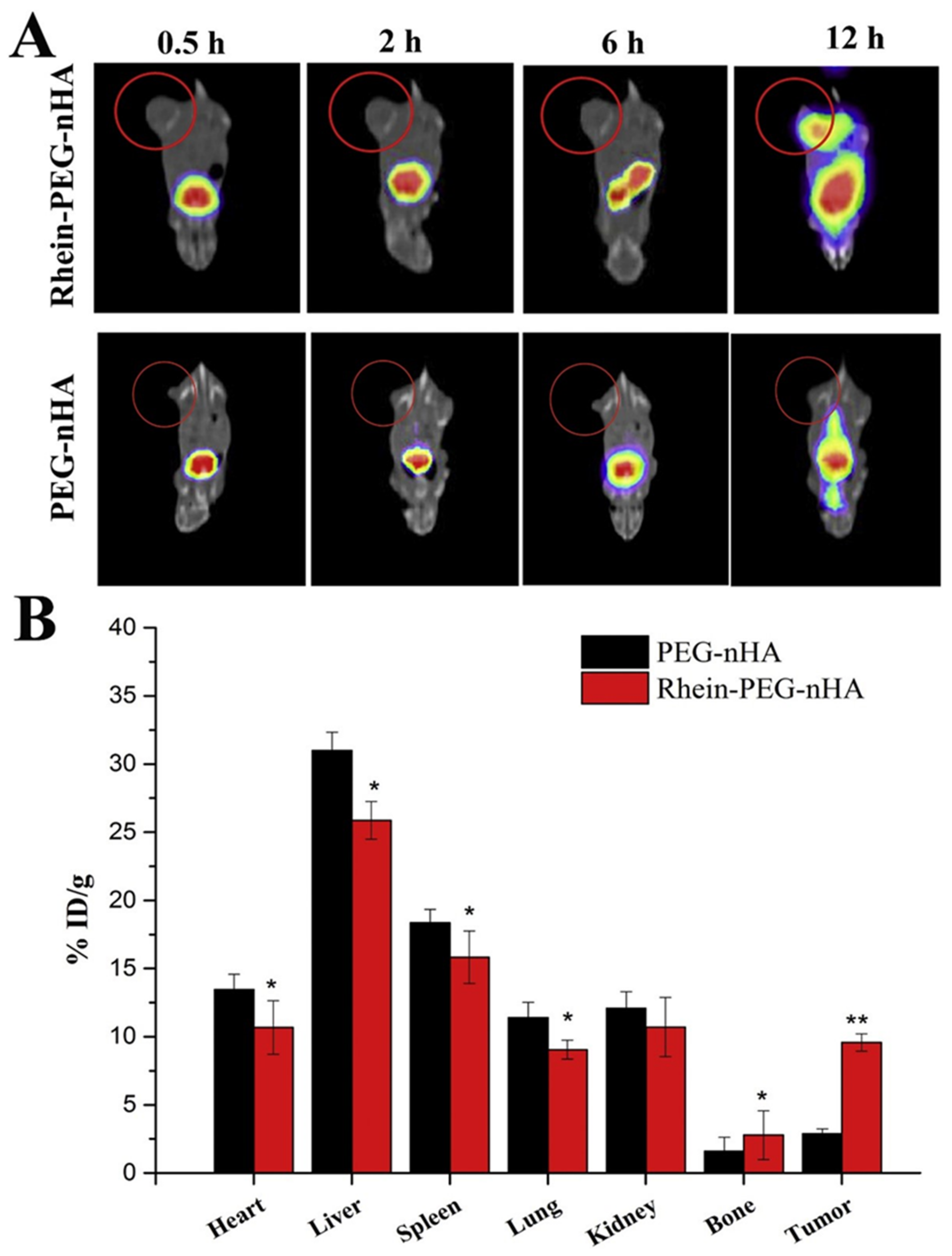 Ijms 23 11352 g012 Ijms 23 11352 g012
