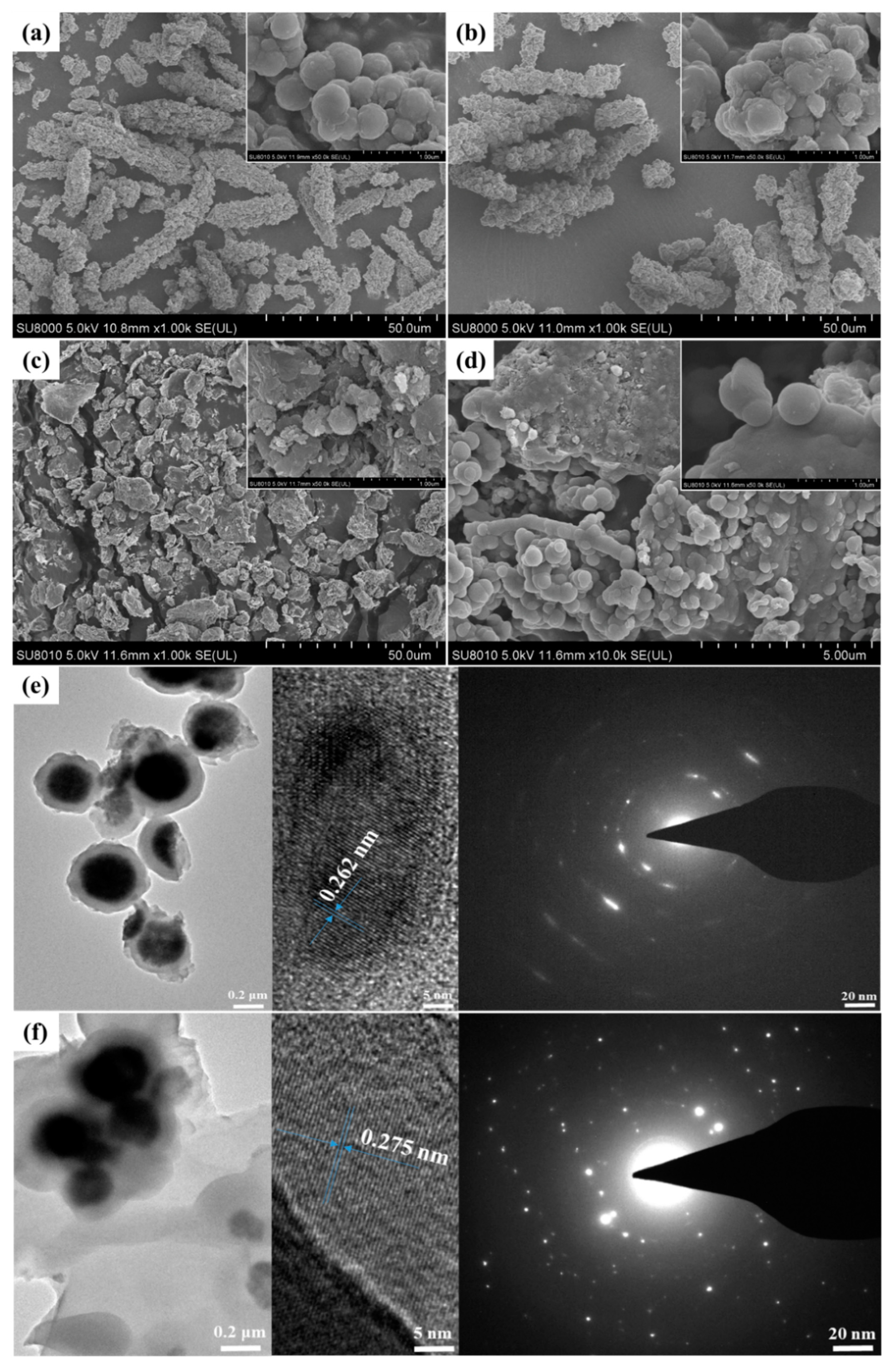 Ijms 23 11356 g002 Ijms 23 11356 g002