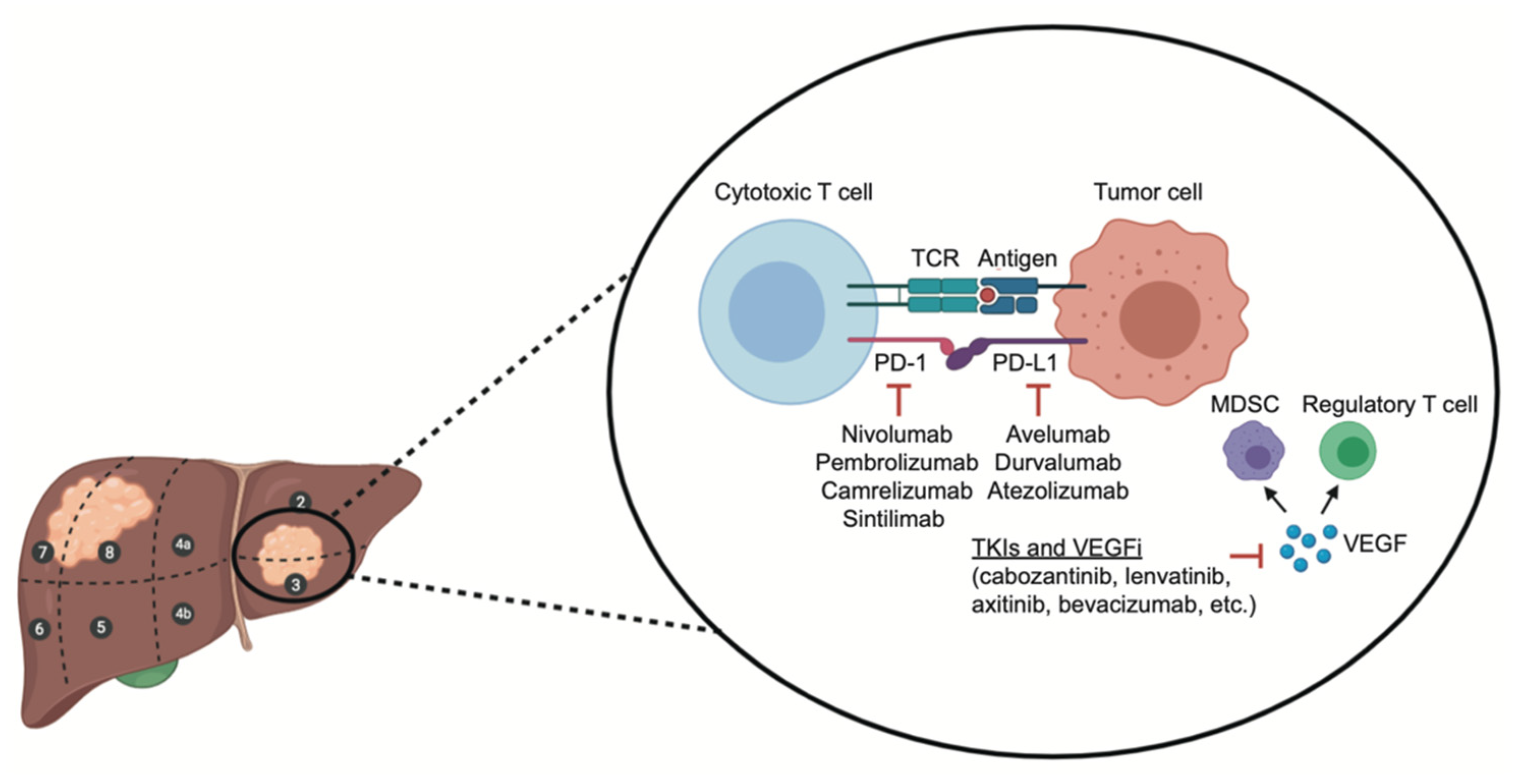 Ijms 23 11363 g001 550