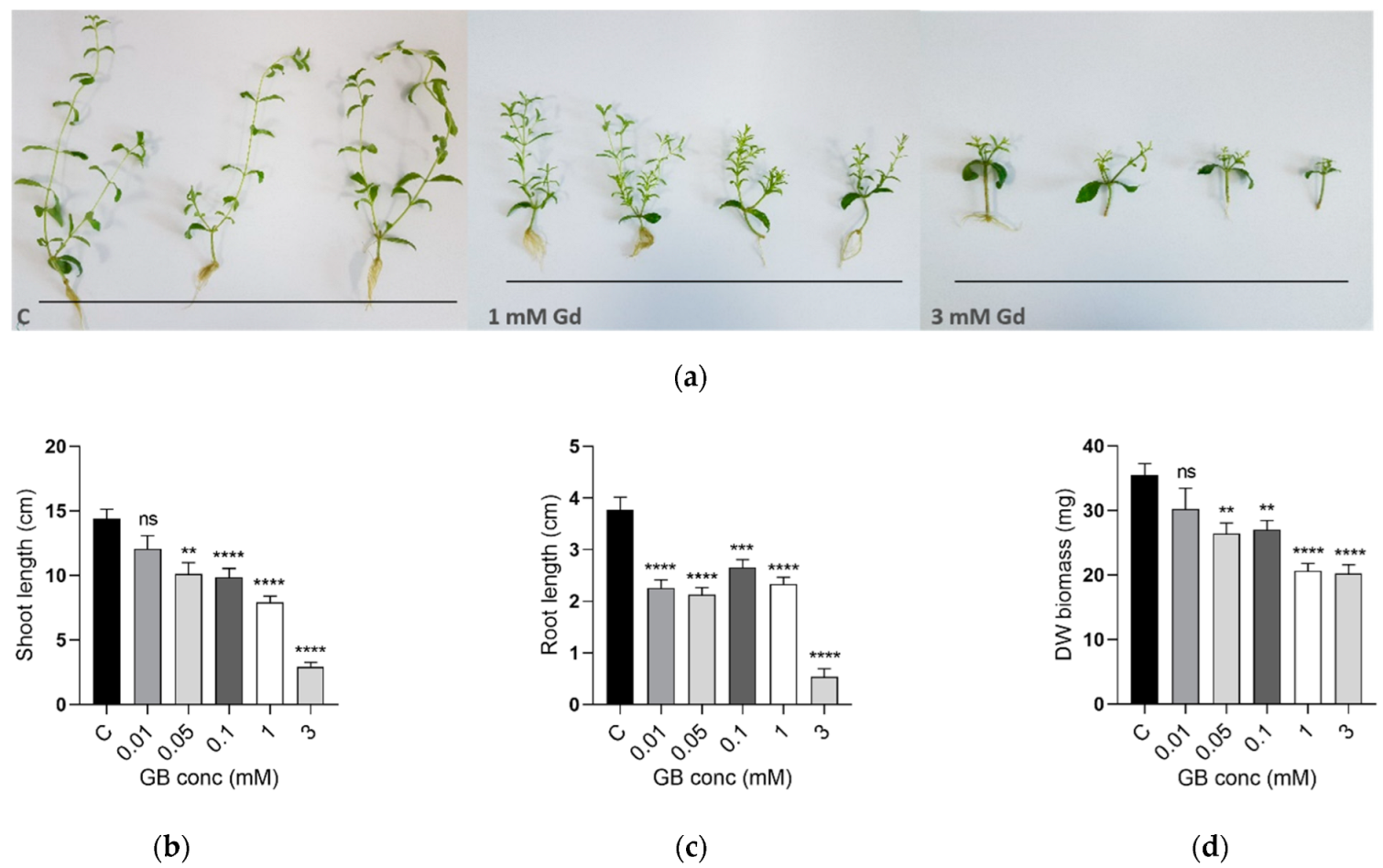 Ijms 23 11368 g001 550