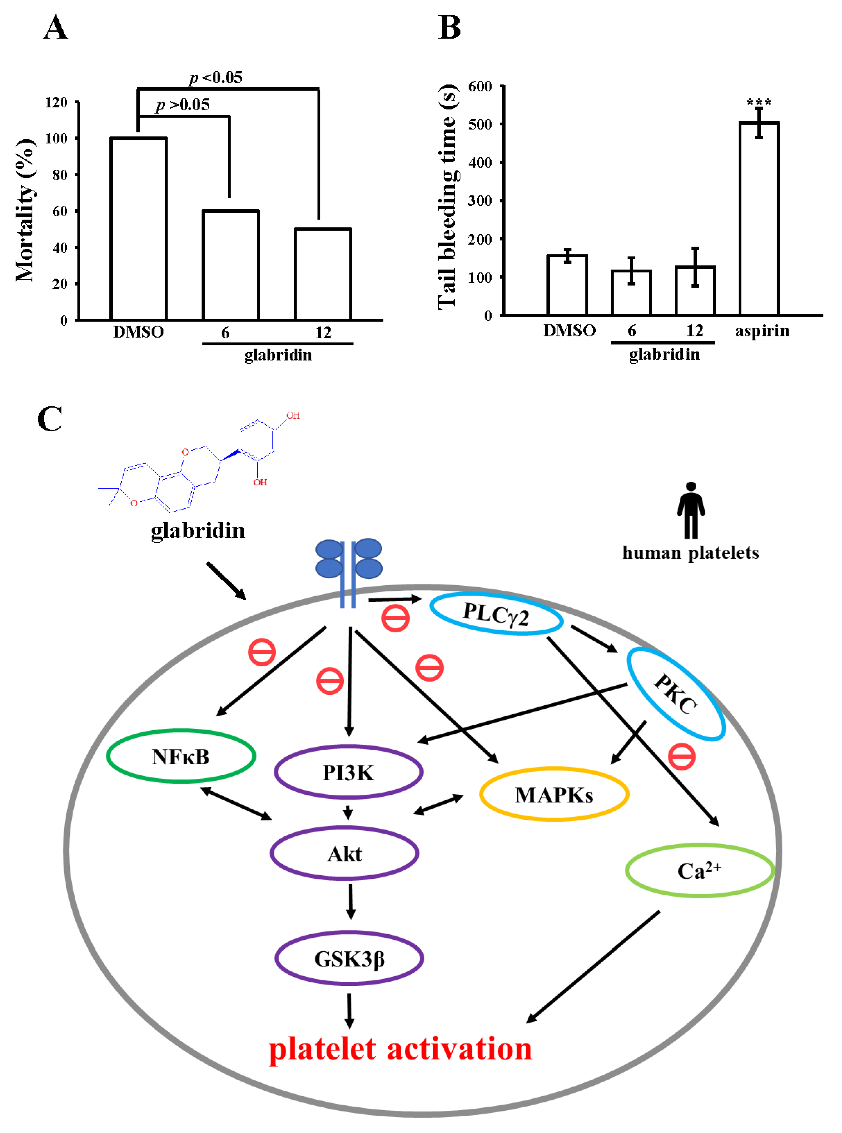 IJMS Free FullText Glabridin, a Bioactive Flavonoid from Licorice