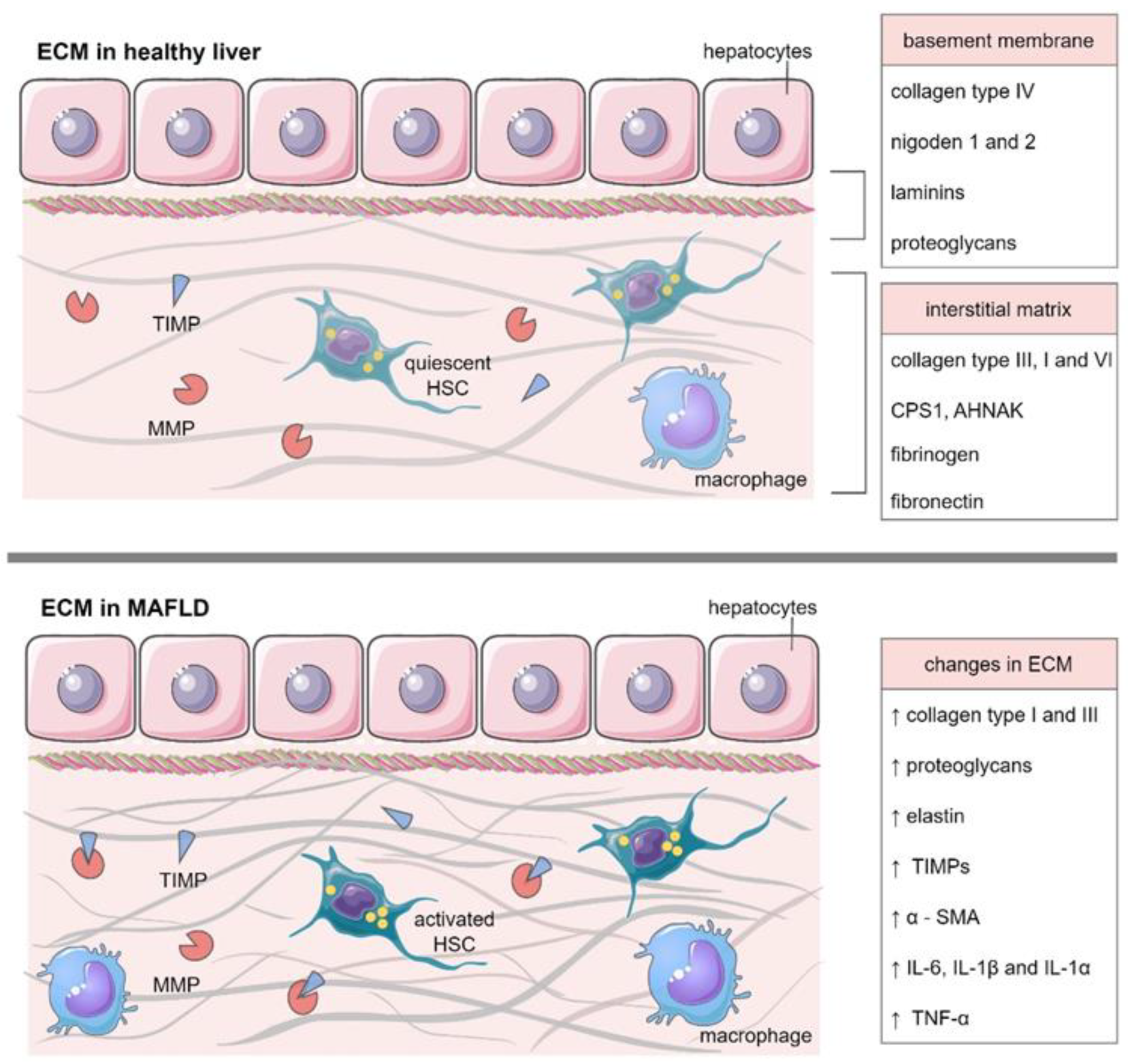 Ijms 23 11380 g001 Ijms 23 11380 g001