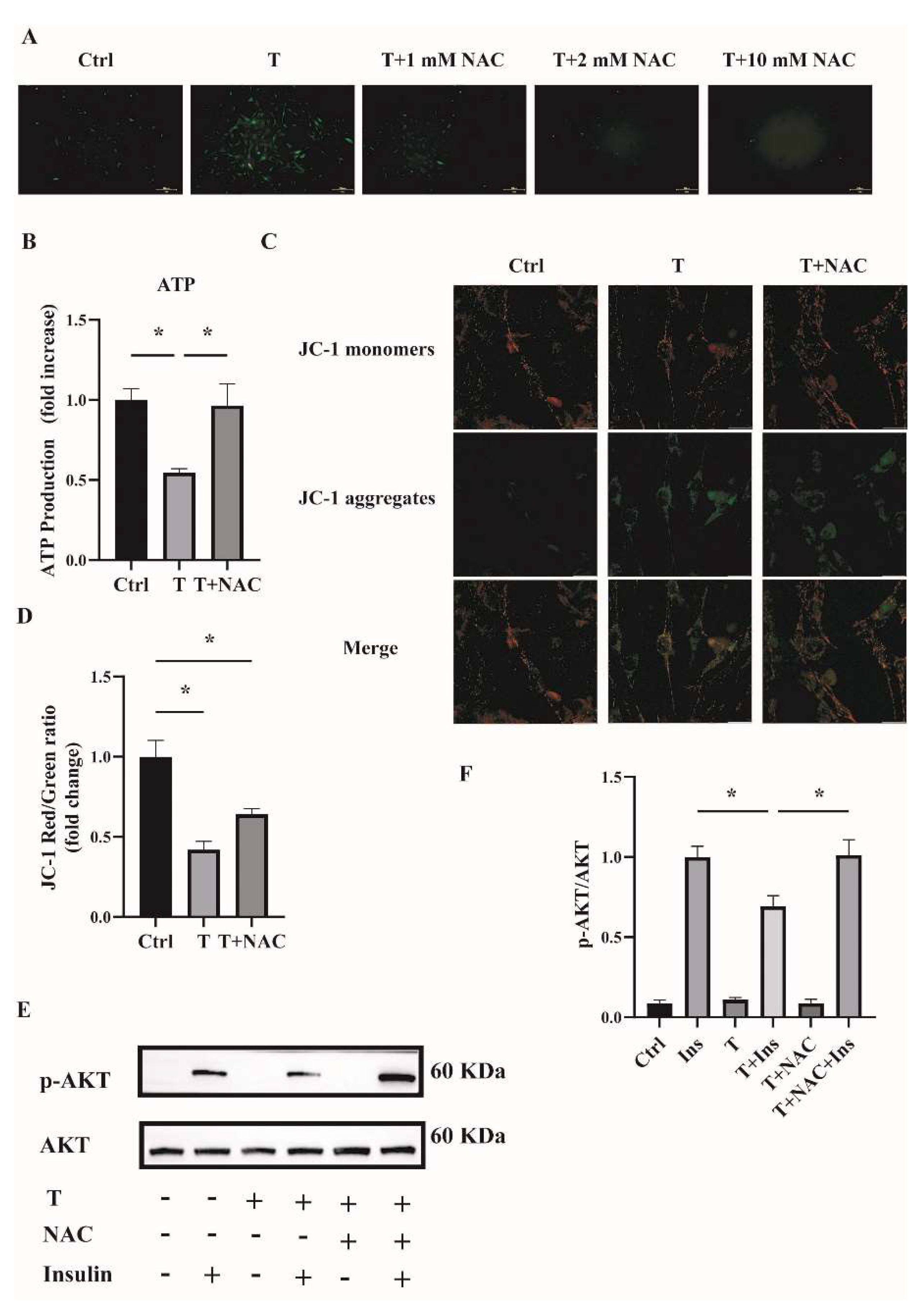 Ijms 23 11384 g007 Ijms 23 11384 g007