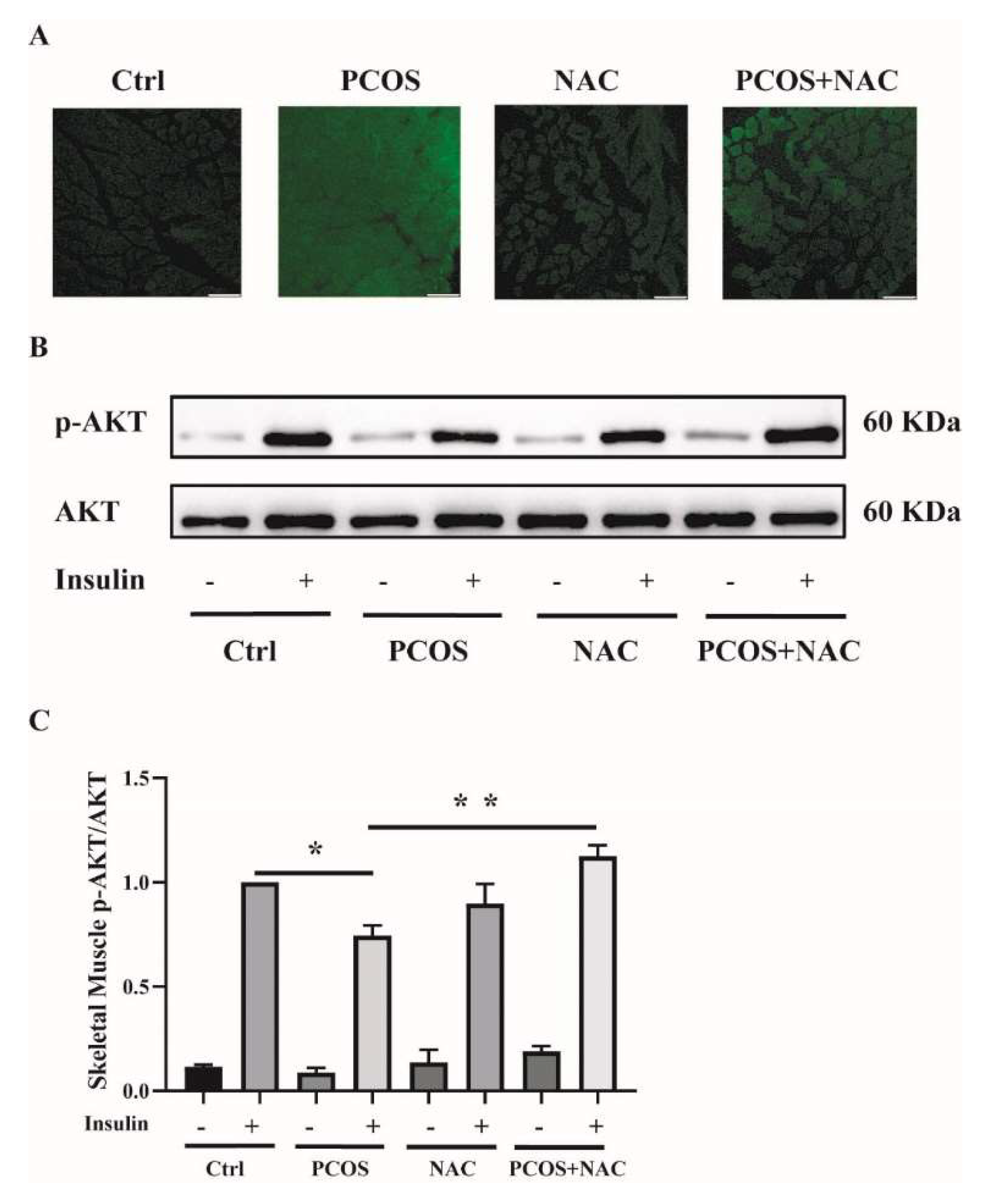 Ijms 23 11384 g008 Ijms 23 11384 g008