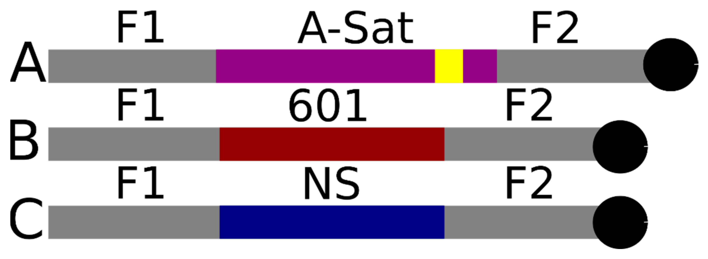 Ijms 23 11385 g001 Ijms 23 11385 g001