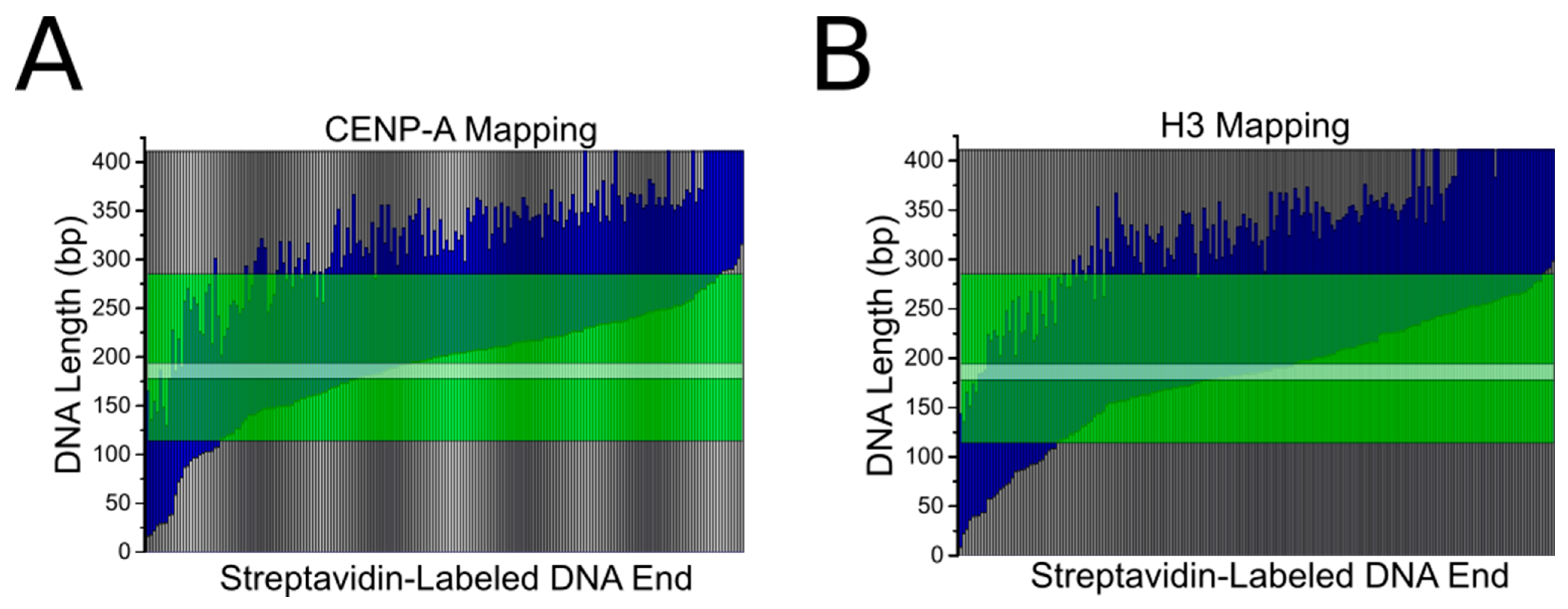 Ijms 23 11385 g004 Ijms 23 11385 g004
