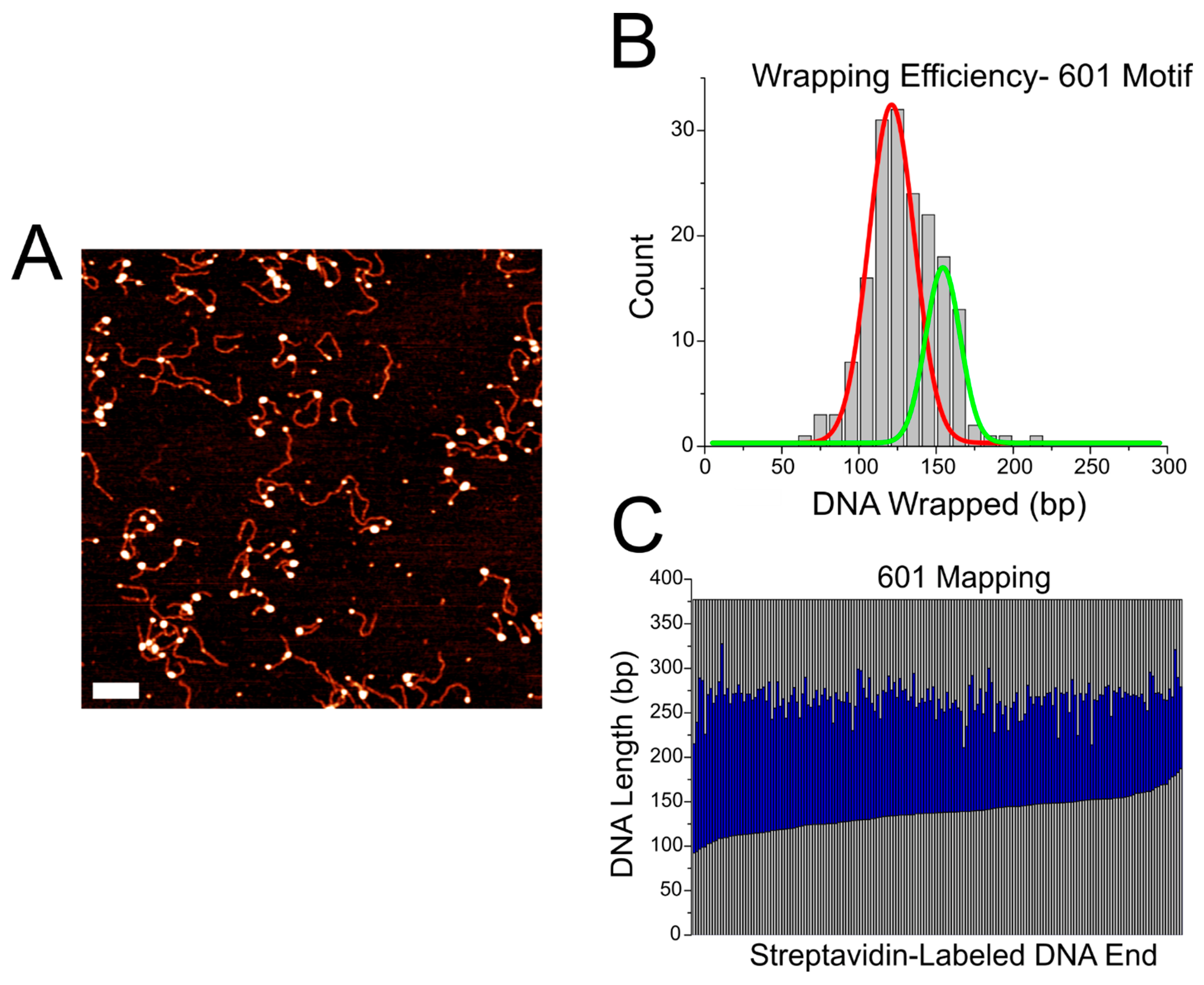 Ijms 23 11385 g005 Ijms 23 11385 g005