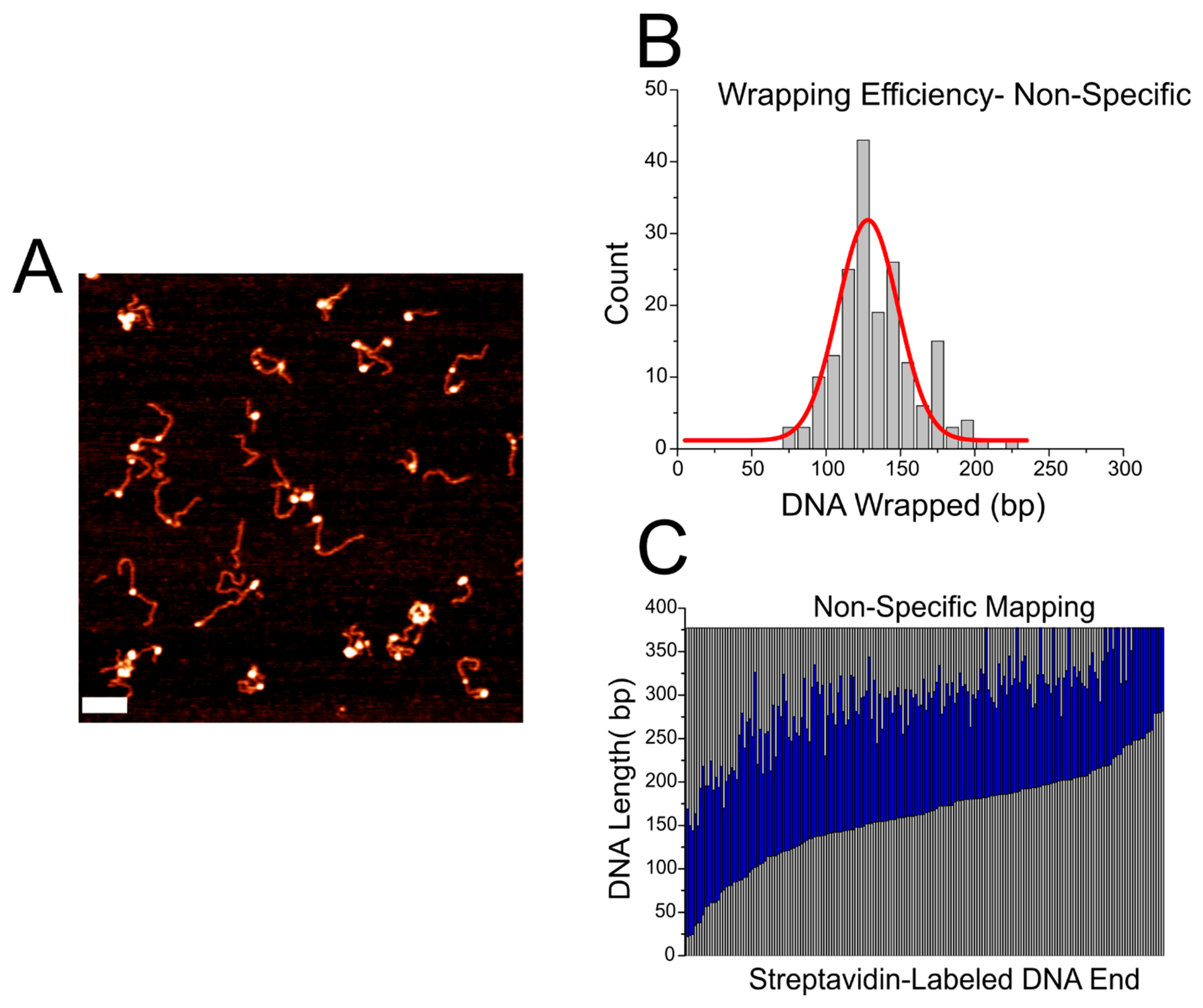 Ijms 23 11385 g006 Ijms 23 11385 g006