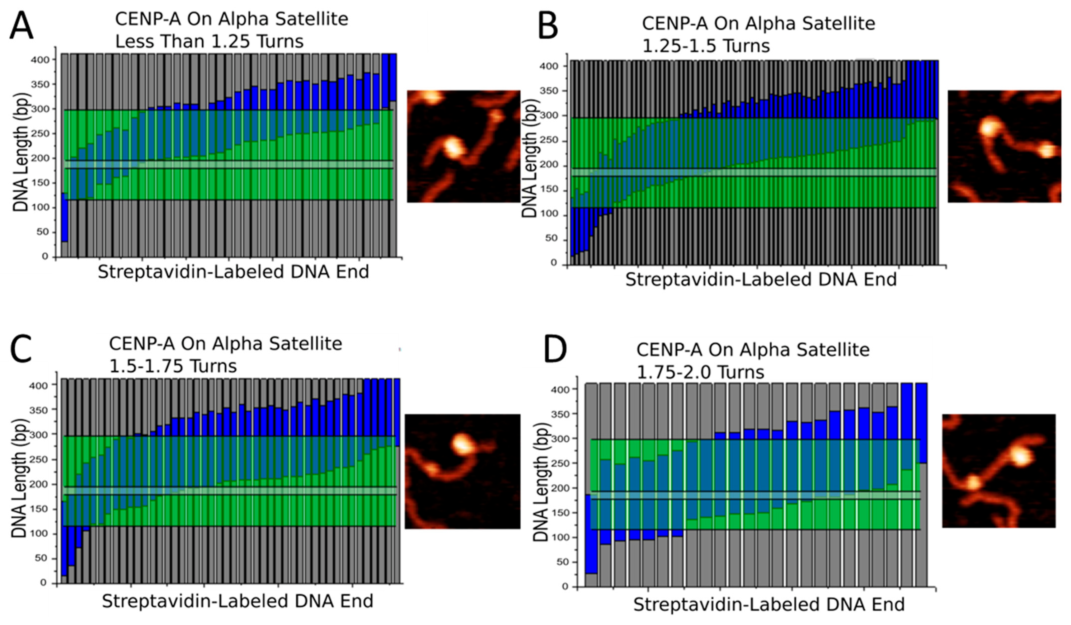 Ijms 23 11385 g007 Ijms 23 11385 g007