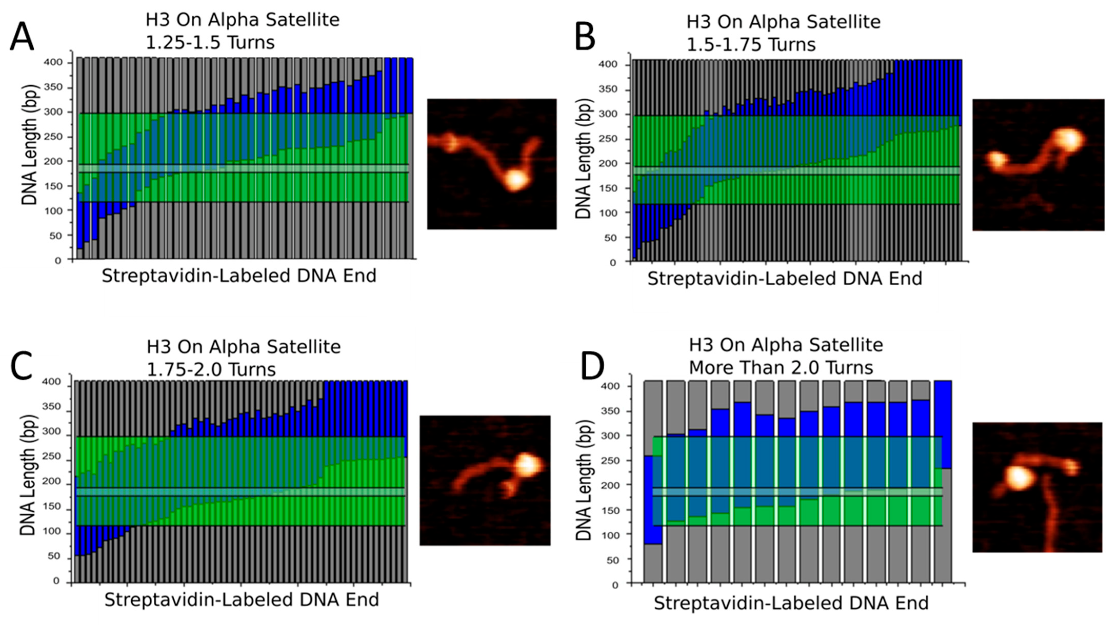 Ijms 23 11385 g008 Ijms 23 11385 g008