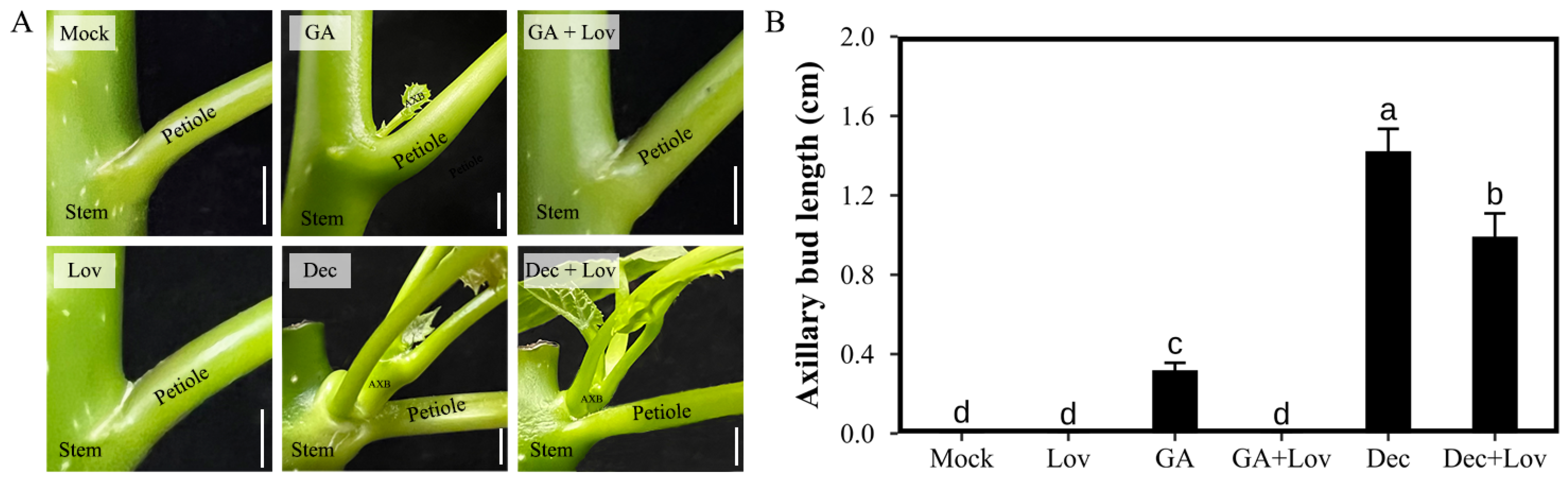 IJMS | Free Full-Text | Genome-Wide Identification and Expression IJMS | Free Full-Text | Genome-Wide Identification and Expression
