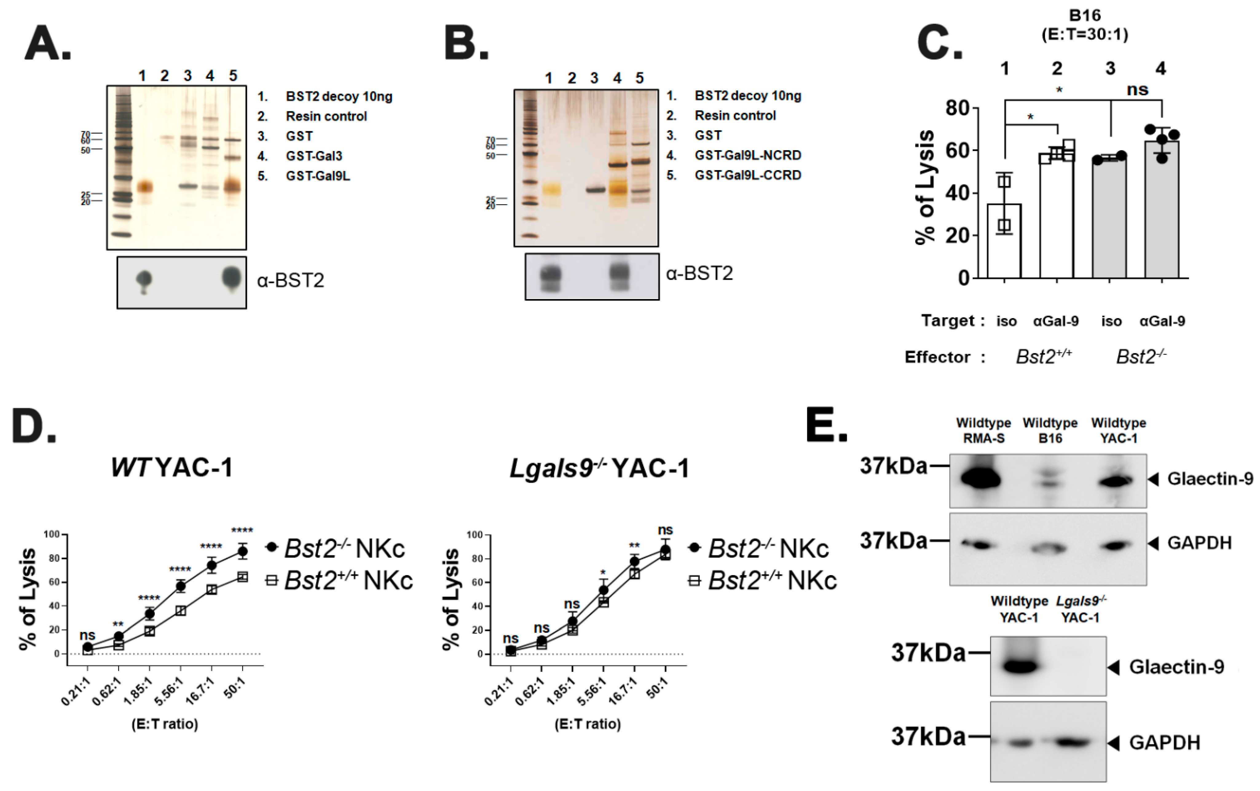 Ijms 23 11395 g003 Ijms 23 11395 g003