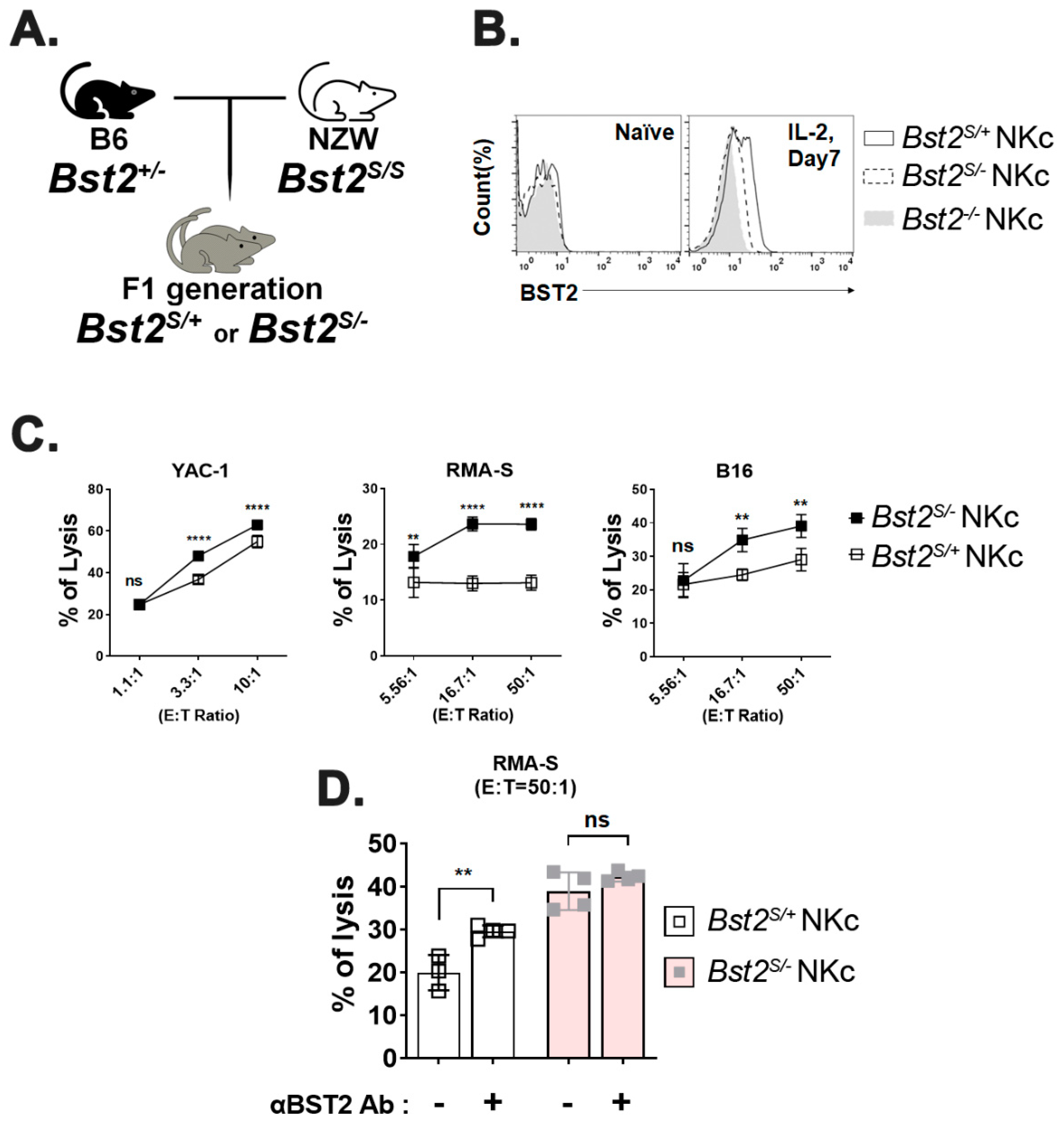 Ijms 23 11395 g004 Ijms 23 11395 g004