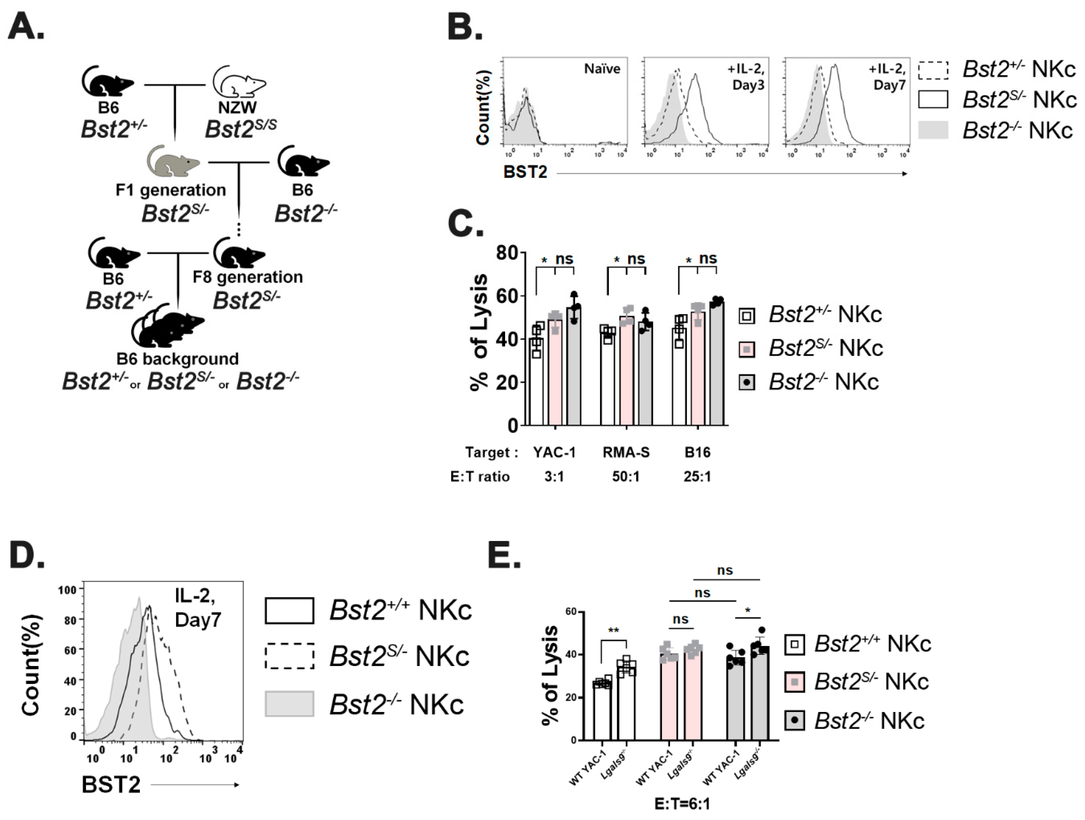 Ijms 23 11395 g005 Ijms 23 11395 g005