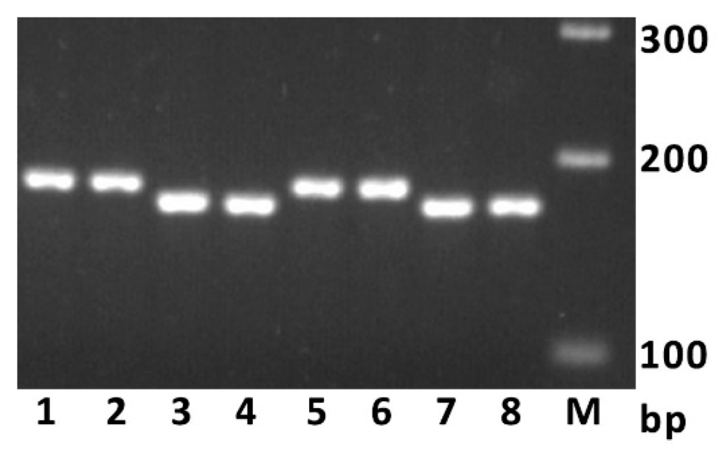 Ijms 23 11402 g001 Ijms 23 11402 g001