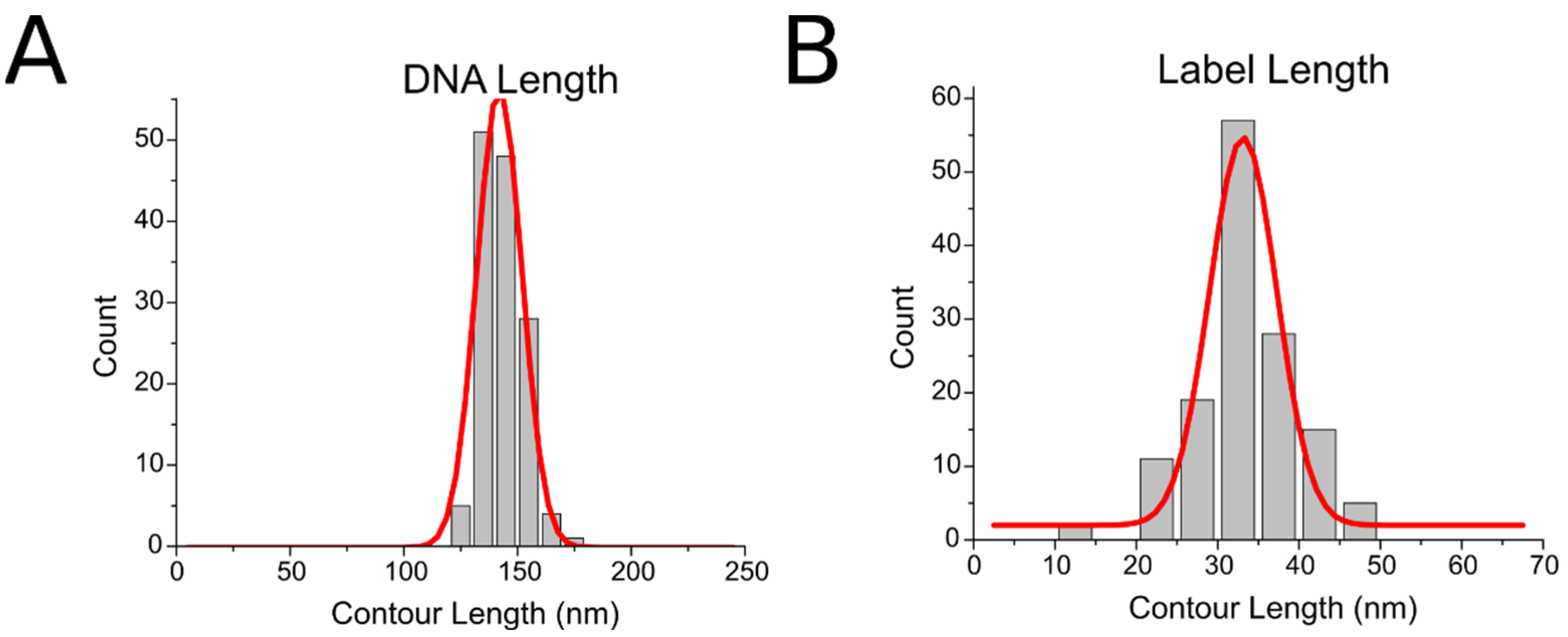 Ijms 23 11404 g003 Ijms 23 11404 g003