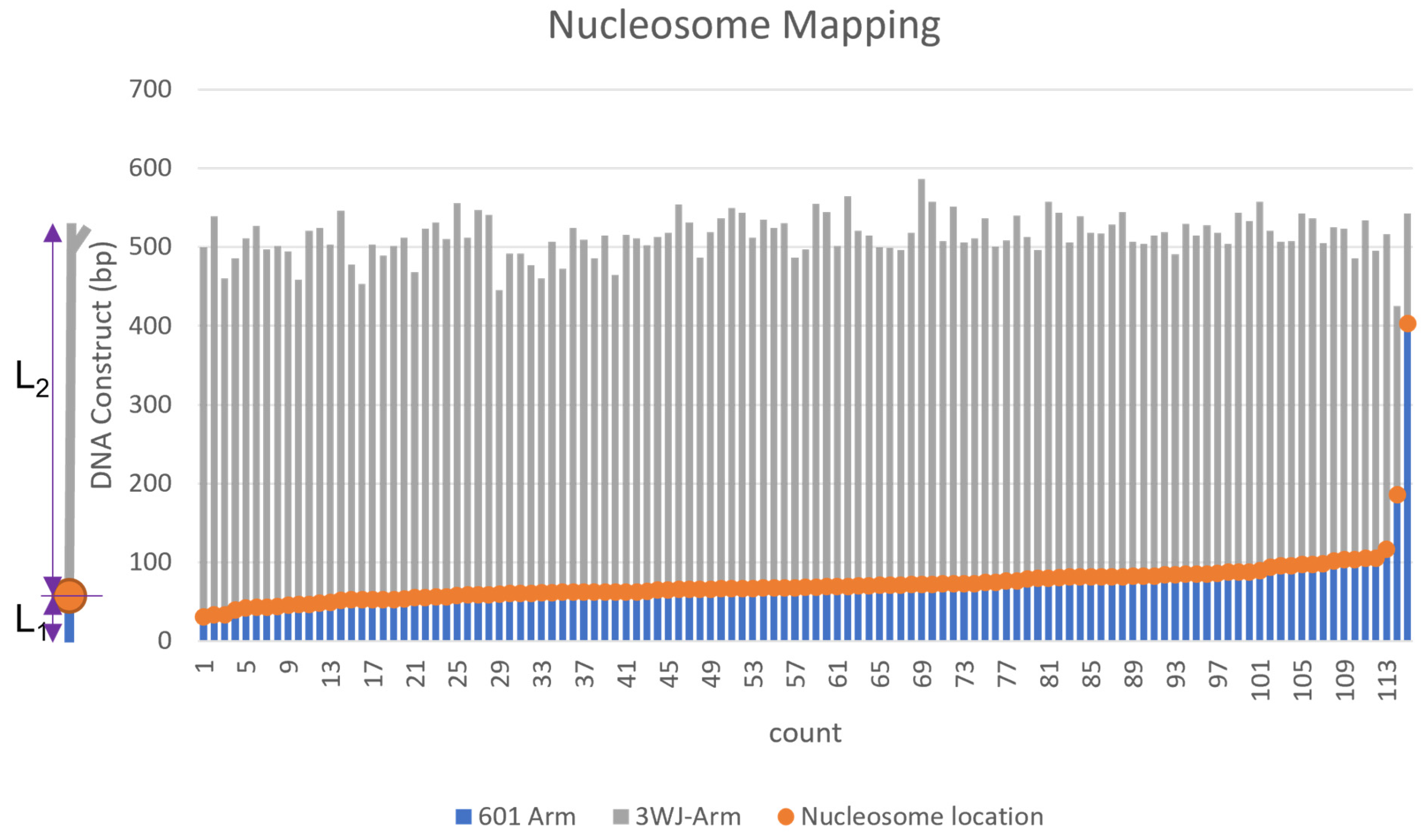 Ijms 23 11404 g007 Ijms 23 11404 g007